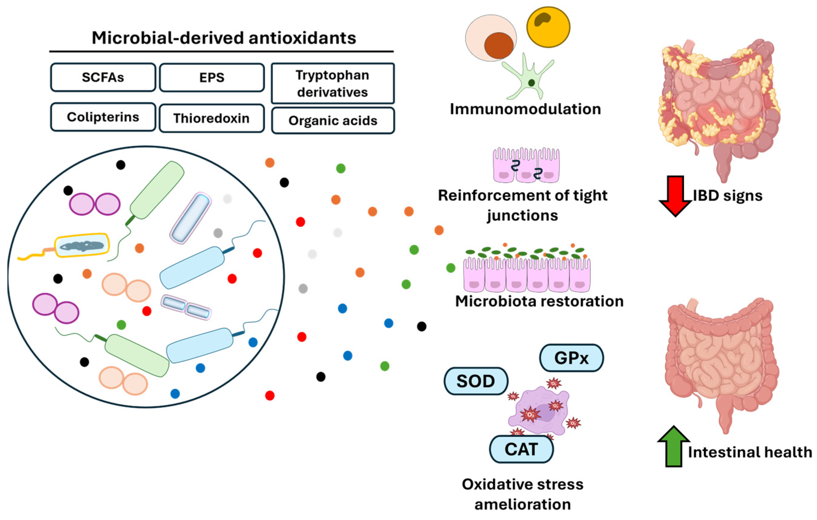 Antioxidants 14 00321 g002