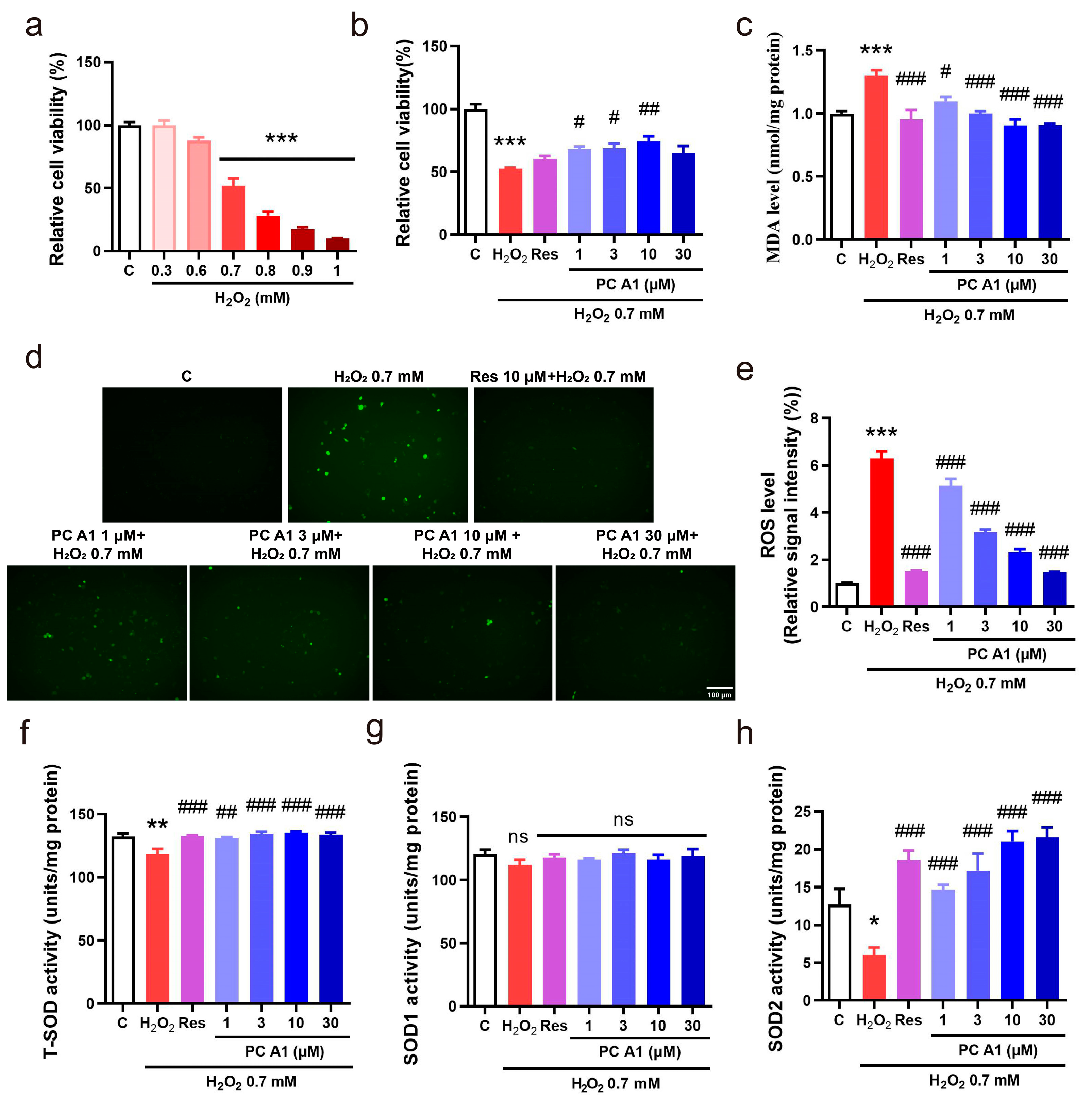 Antioxidants 14 00322 g005