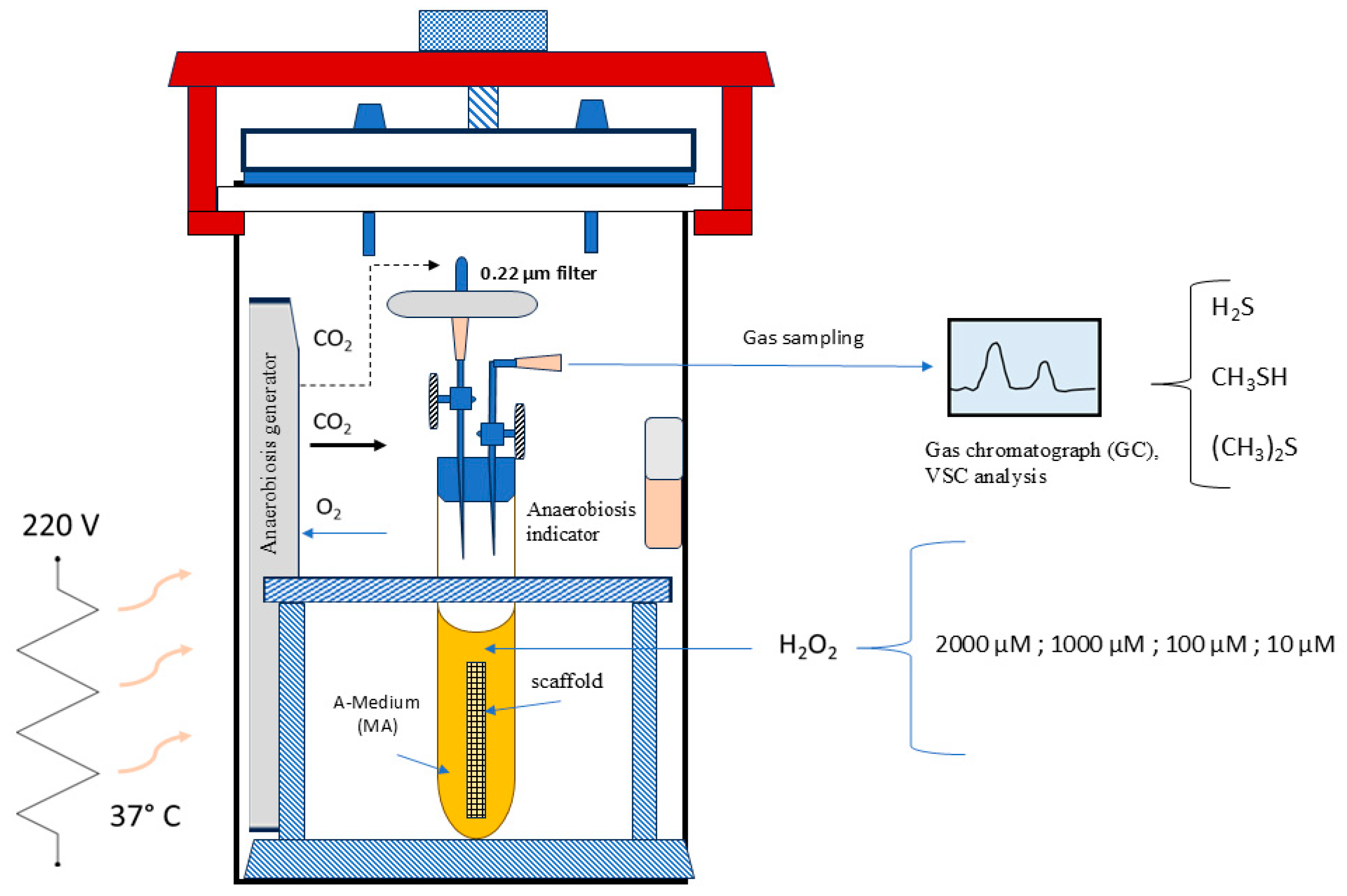 Antioxidants 14 00323 g001