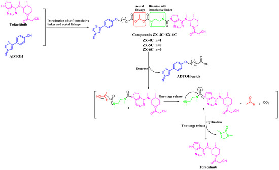 Discovery of Novel Tofacitinib–ADTOH Molecular Hybridization