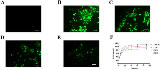 Discovery of Novel Tofacitinib–ADTOH Molecular Hybridization