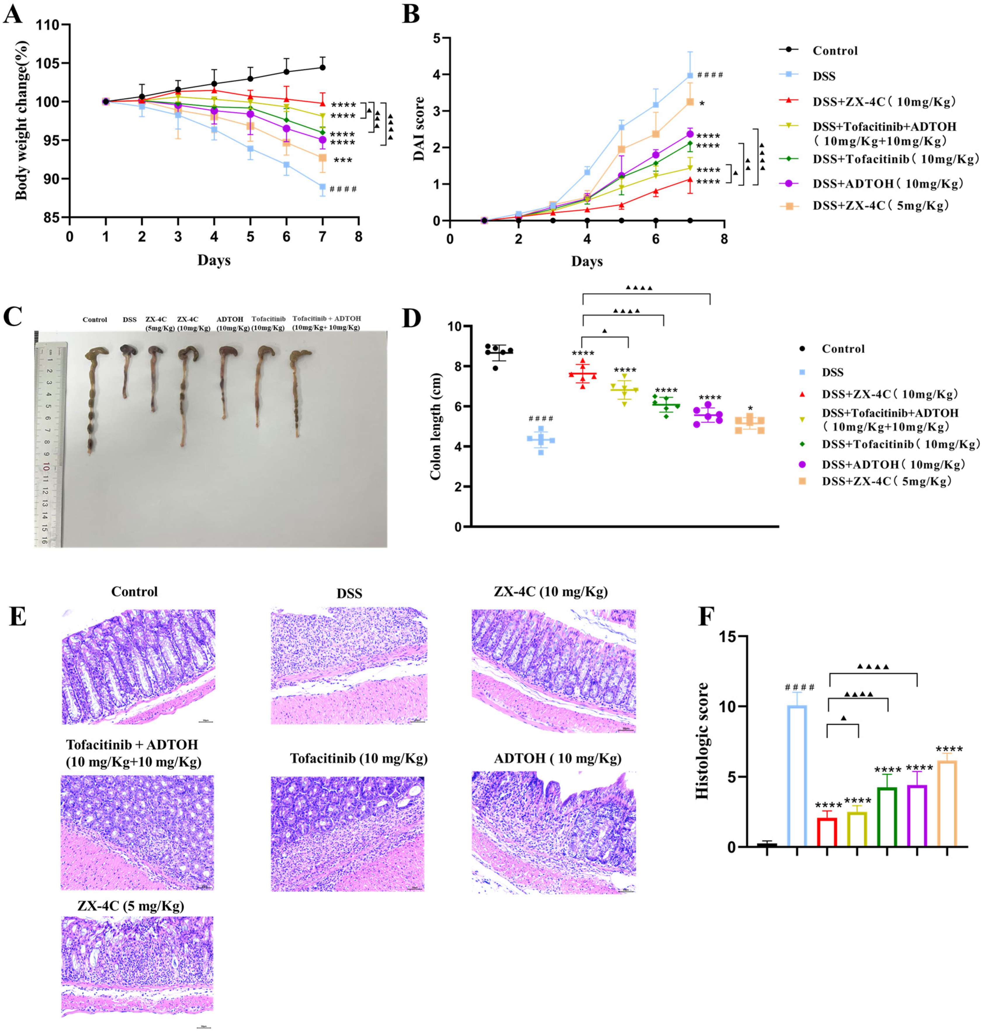 Antioxidants 14 00325 g006