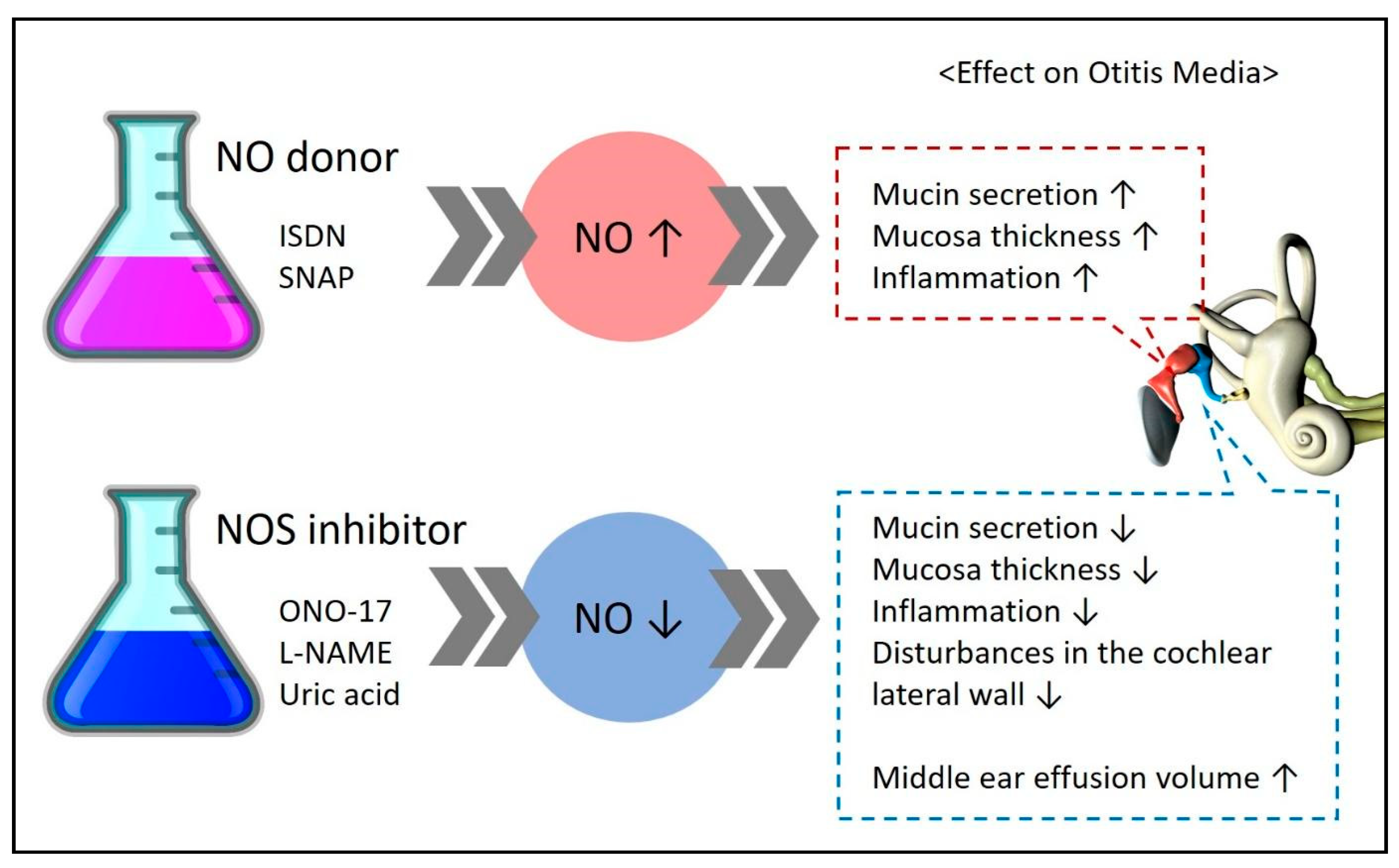 Antioxidants 14 00327 g003