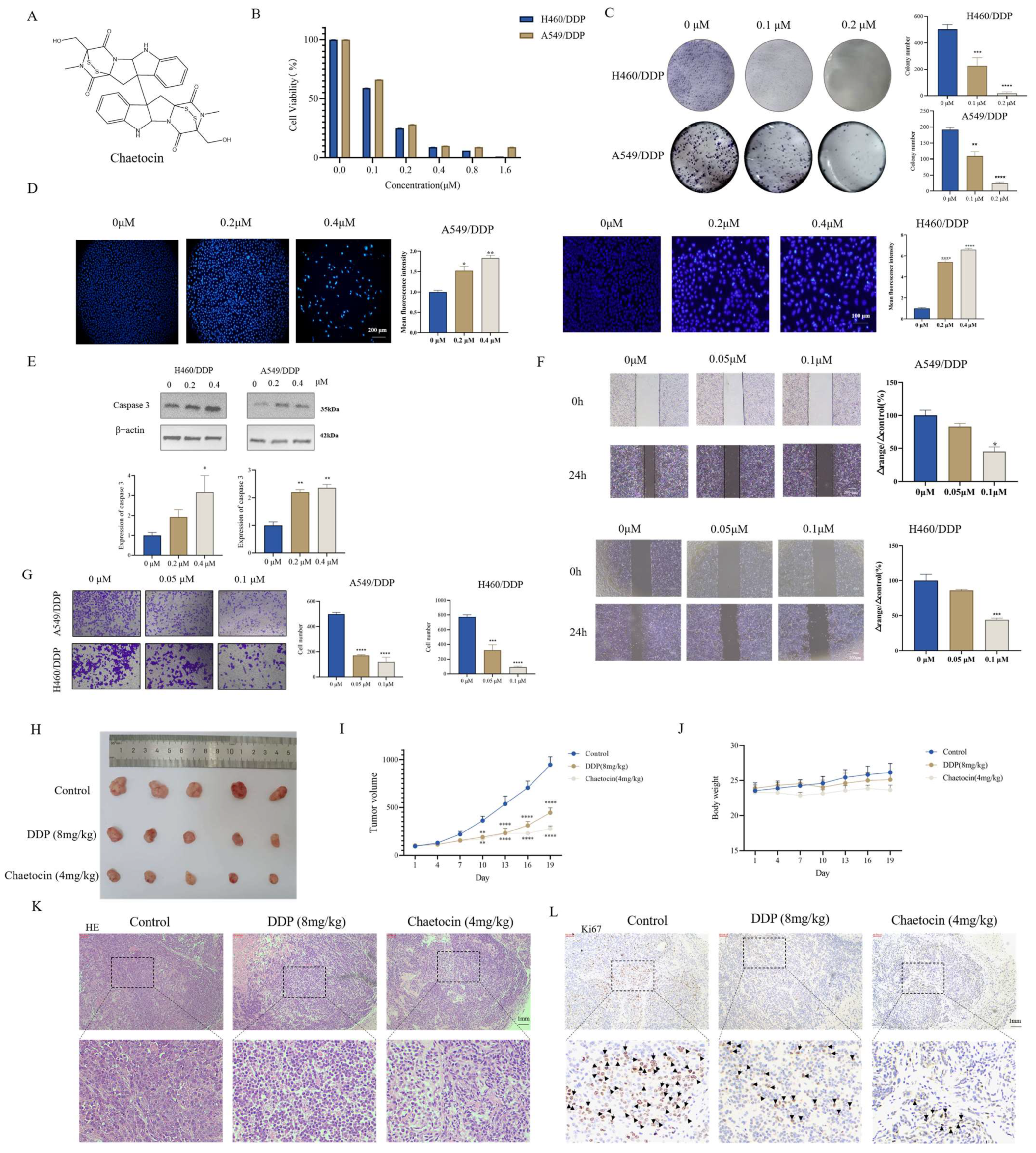 Antioxidants 14 00330 g001