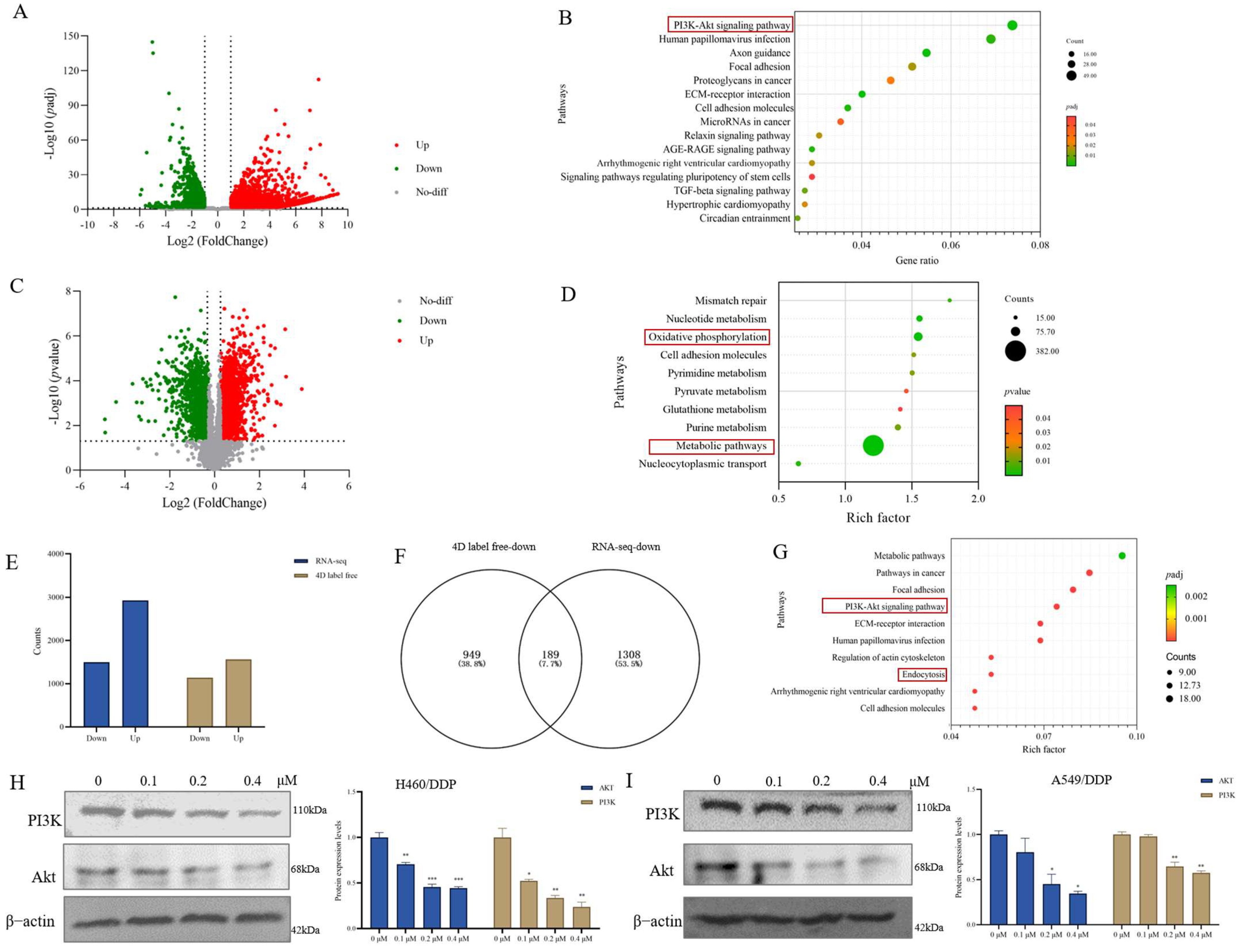 Antioxidants 14 00330 g002