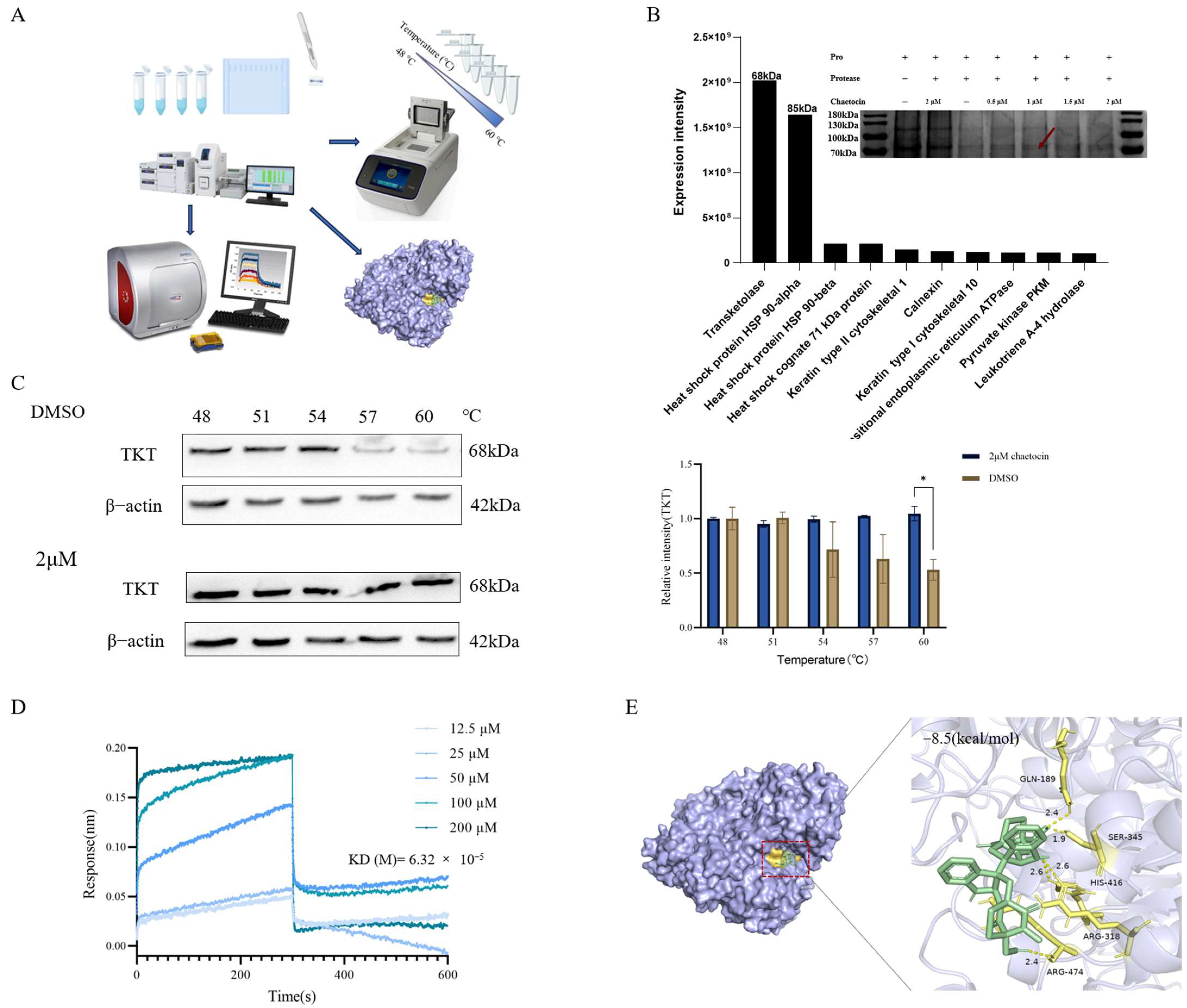 Antioxidants 14 00330 g003