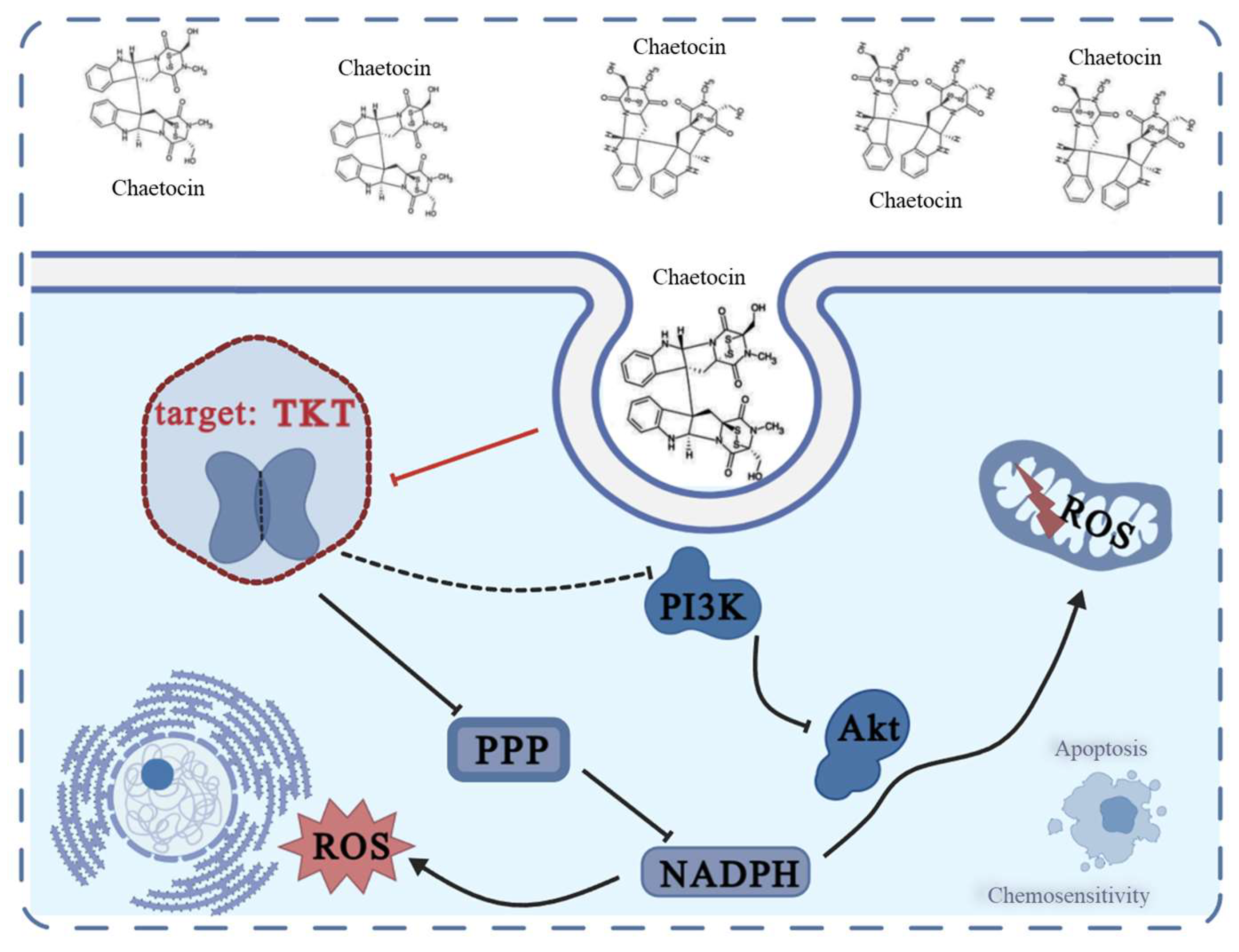 Antioxidants 14 00330 g007