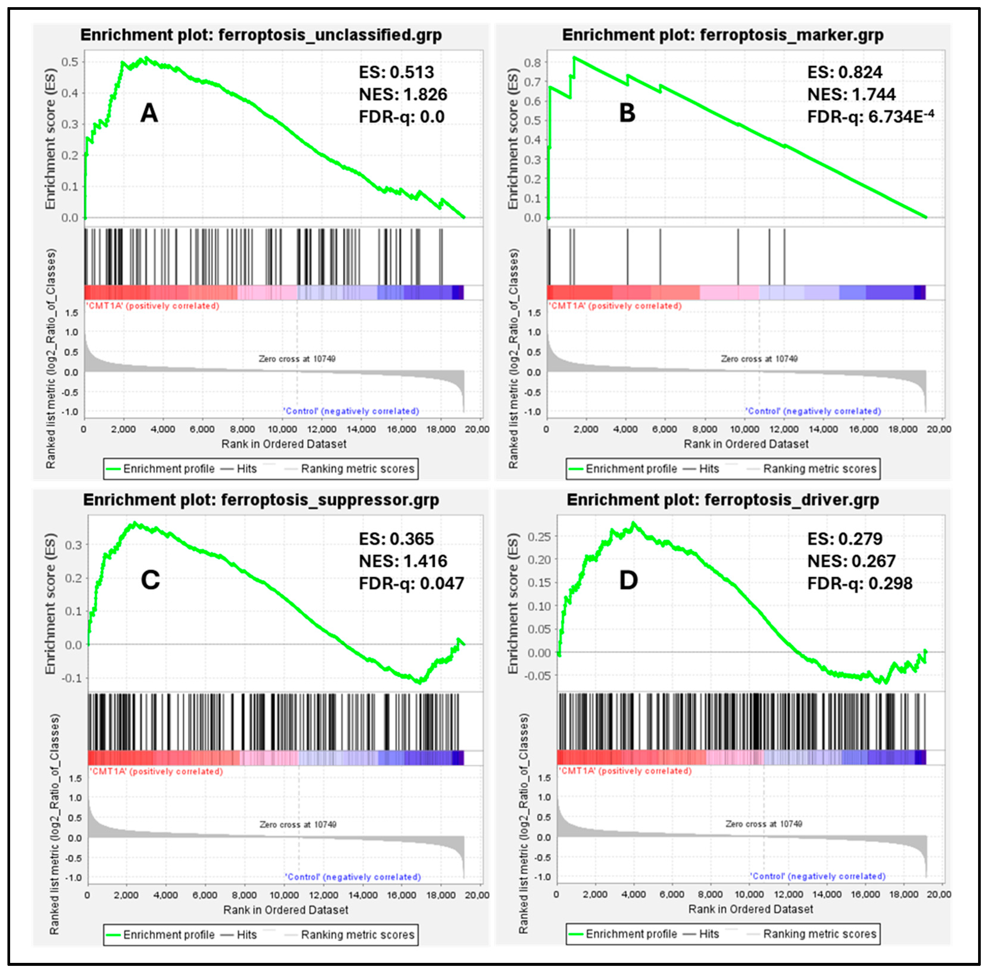 Antioxidants 14 00331 g007