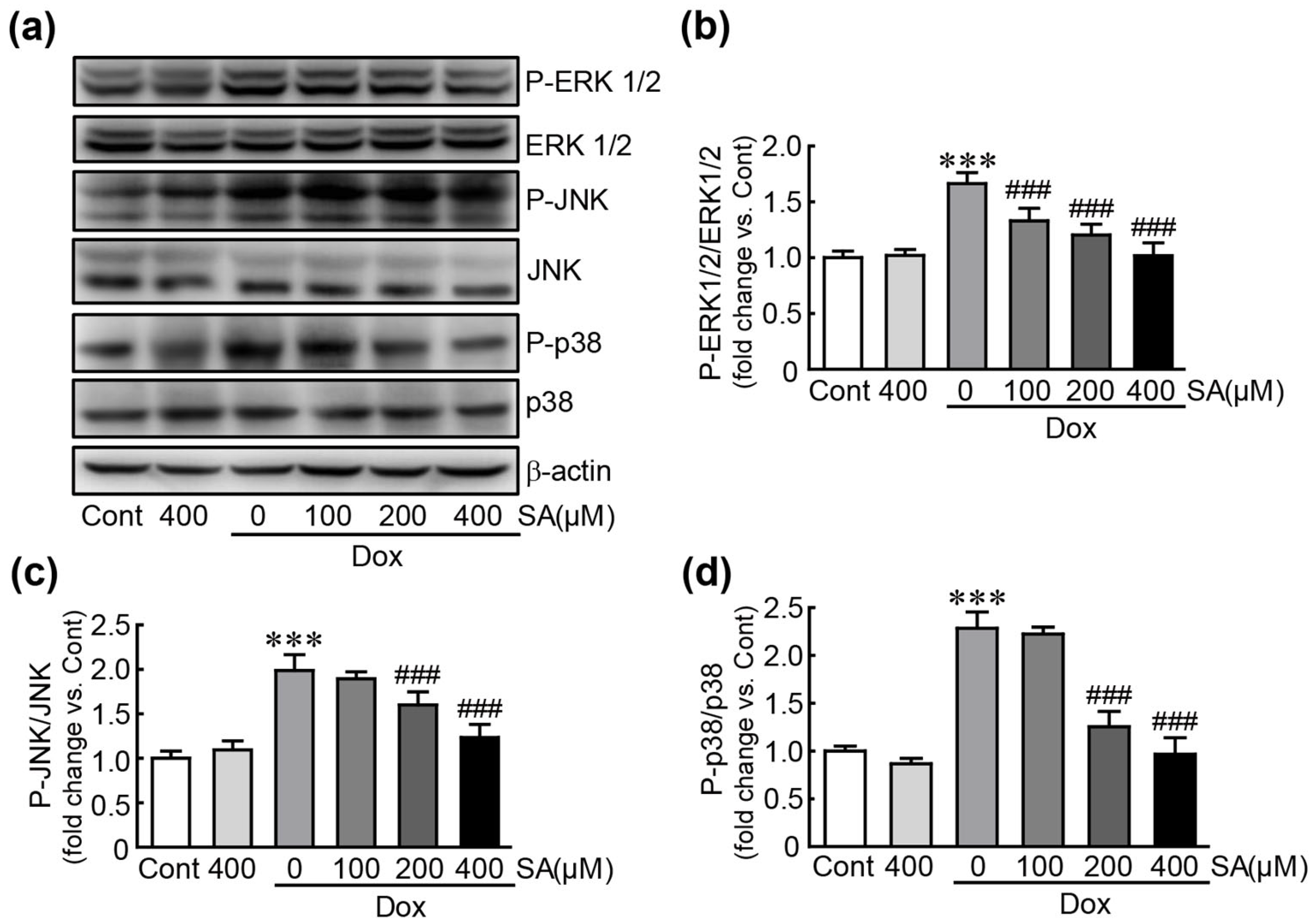 Antioxidants 14 00337 g006