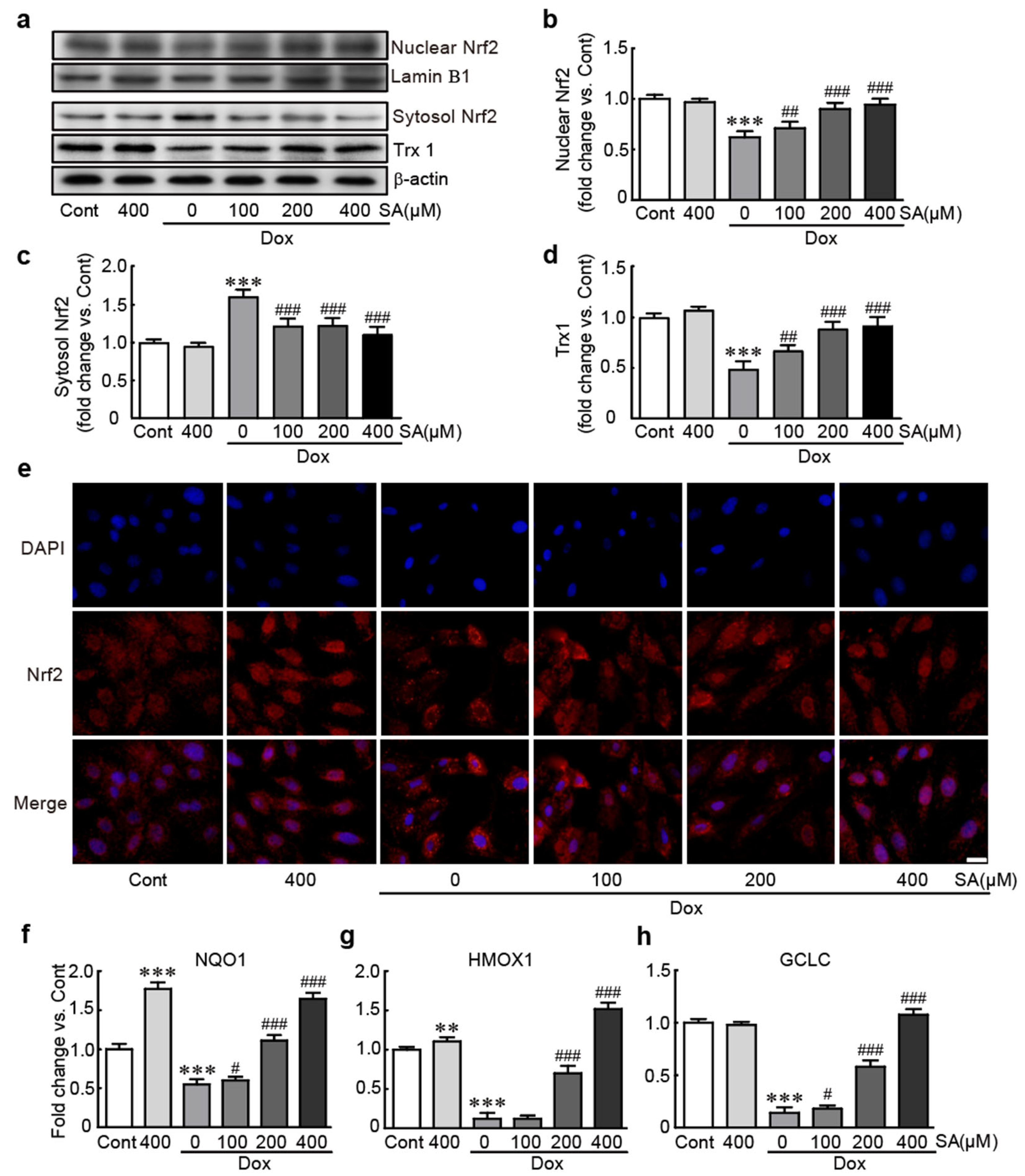 Antioxidants 14 00337 g007