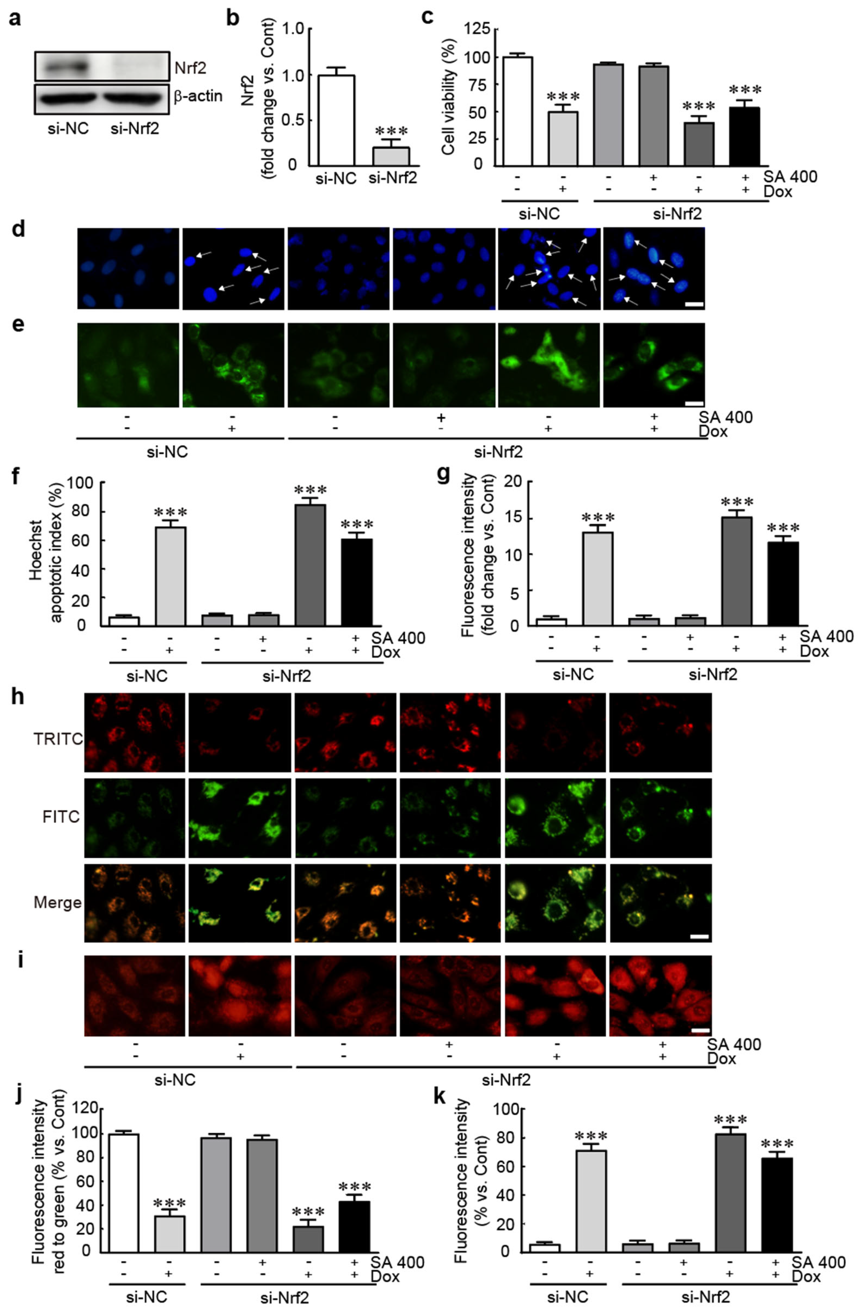 Antioxidants 14 00337 g008