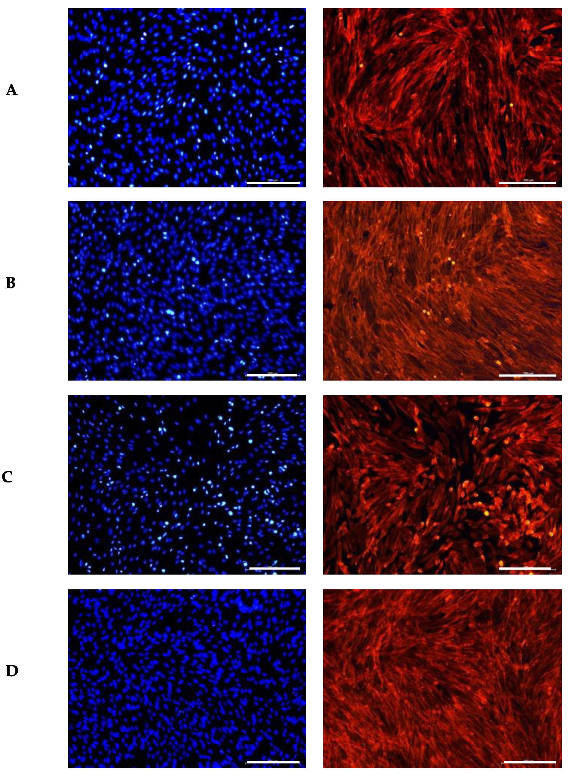 Antioxidants 14 00338 g002