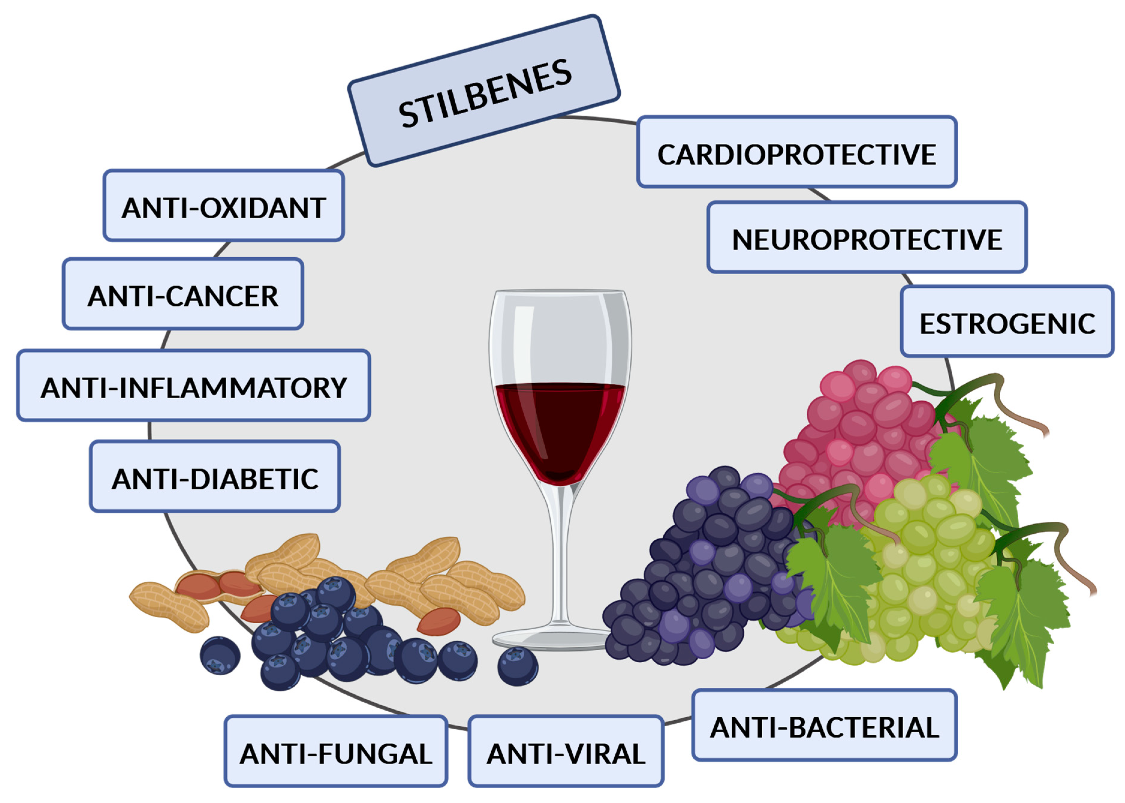 Antioxidants 14 00339 g004