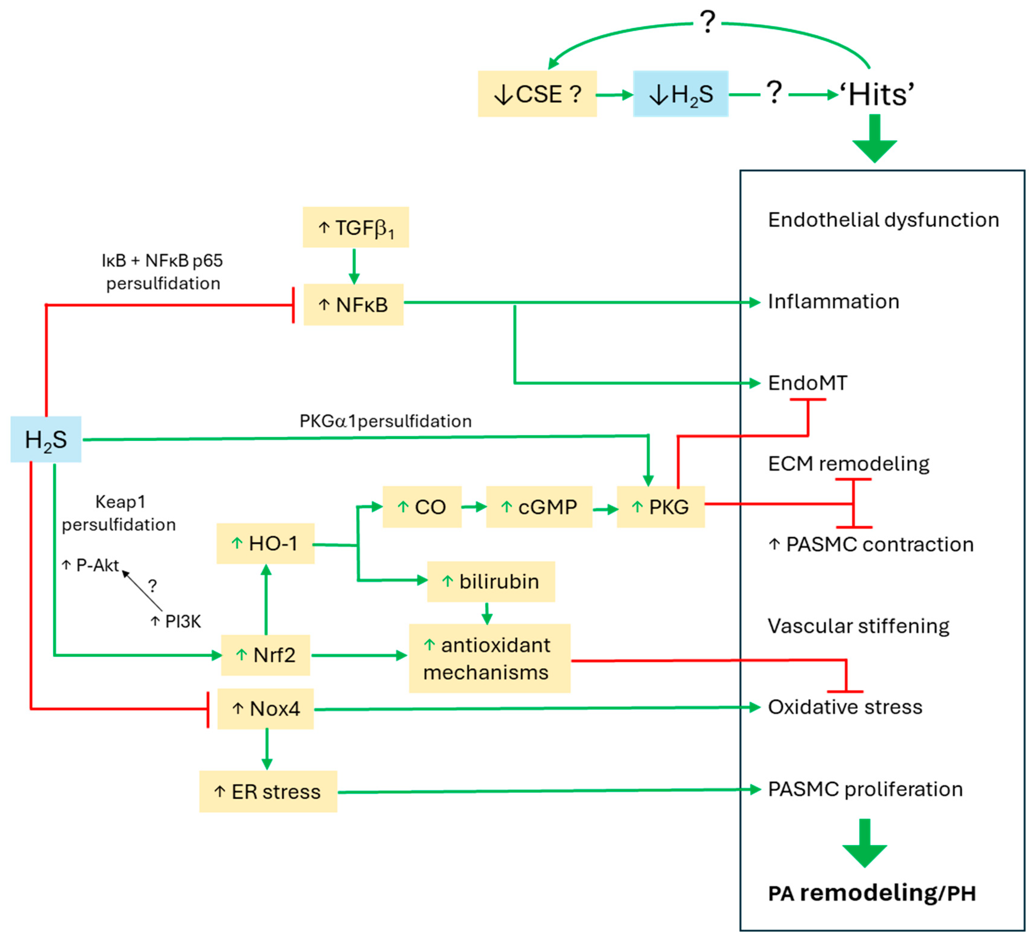 Antioxidants 14 00341 g002