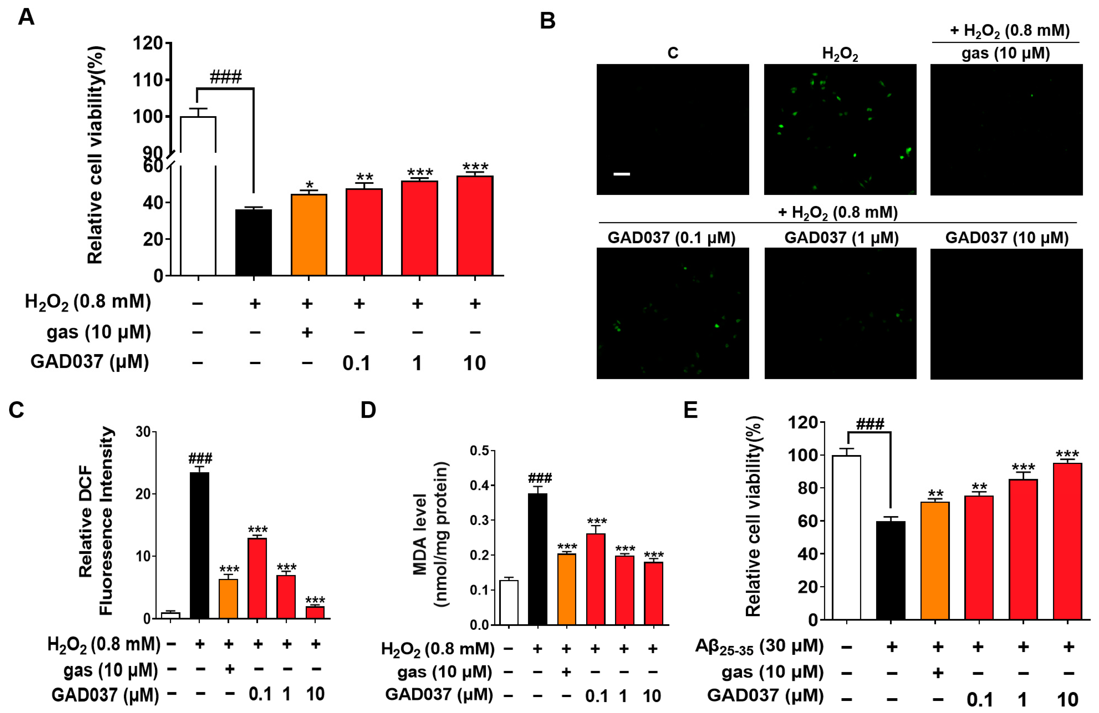 Antioxidants 14 00344 g002