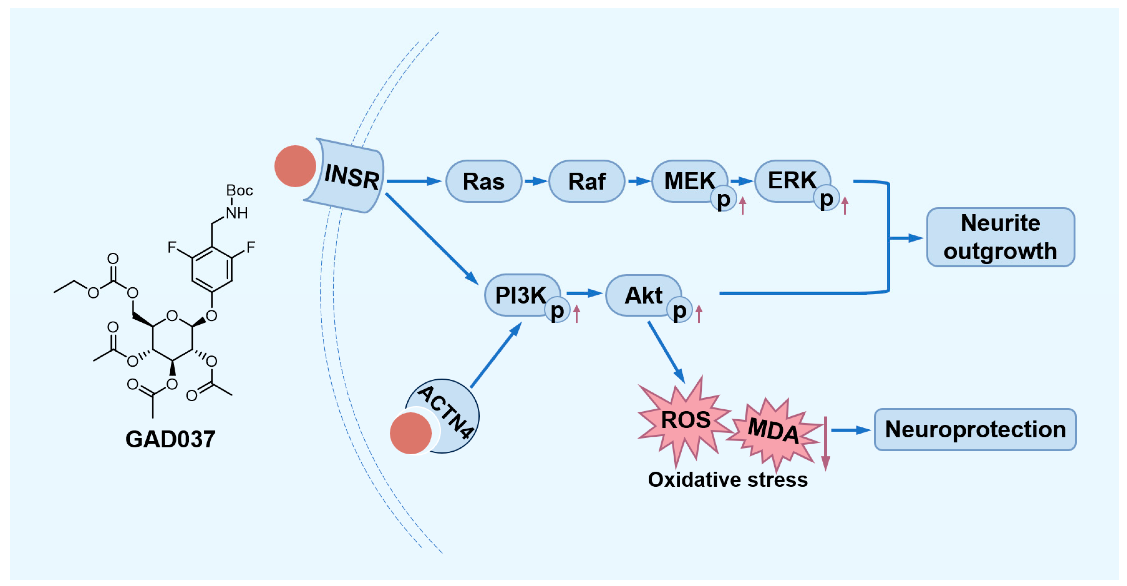 Antioxidants 14 00344 g009