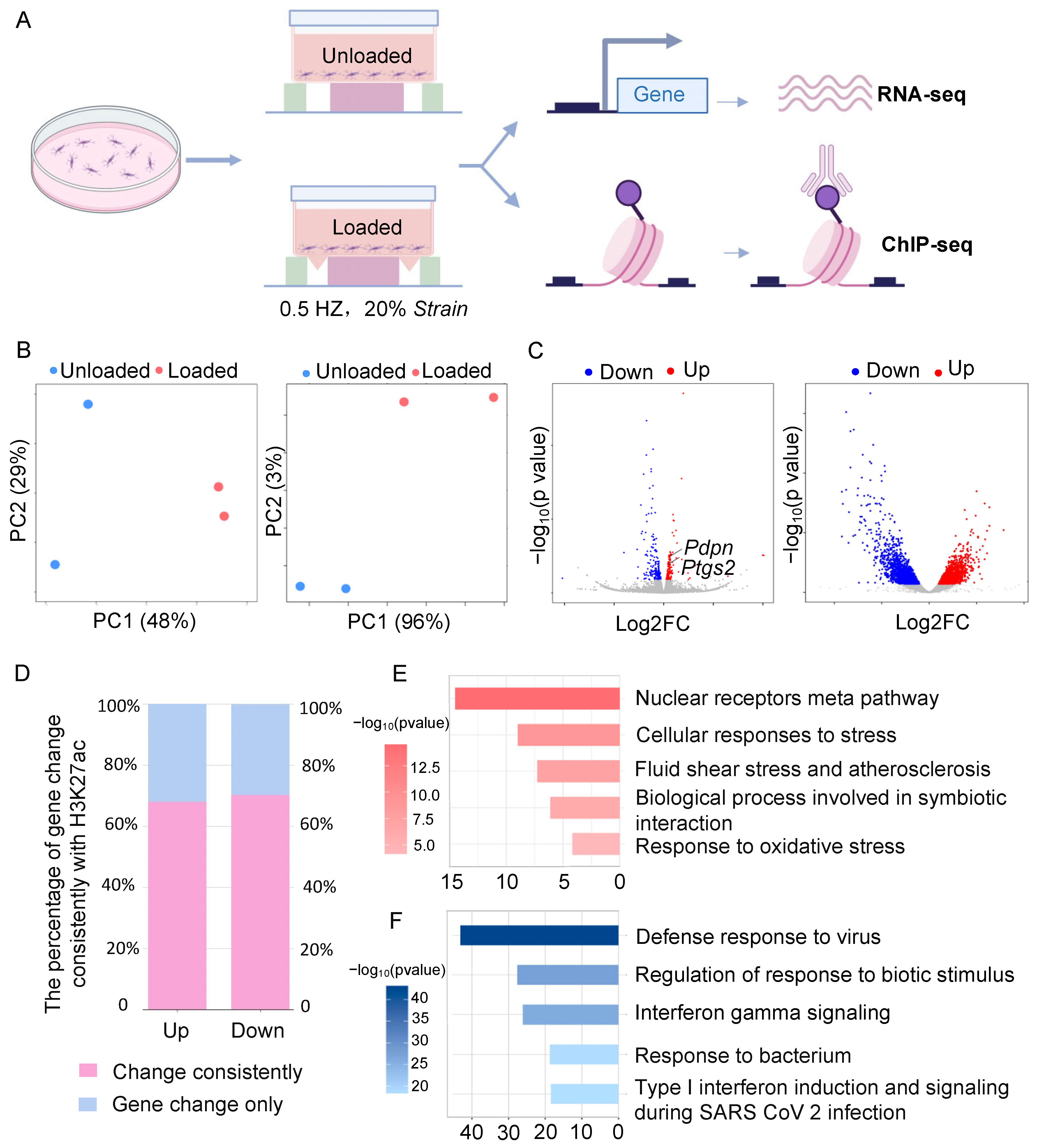 Antioxidants 14 00346 g001