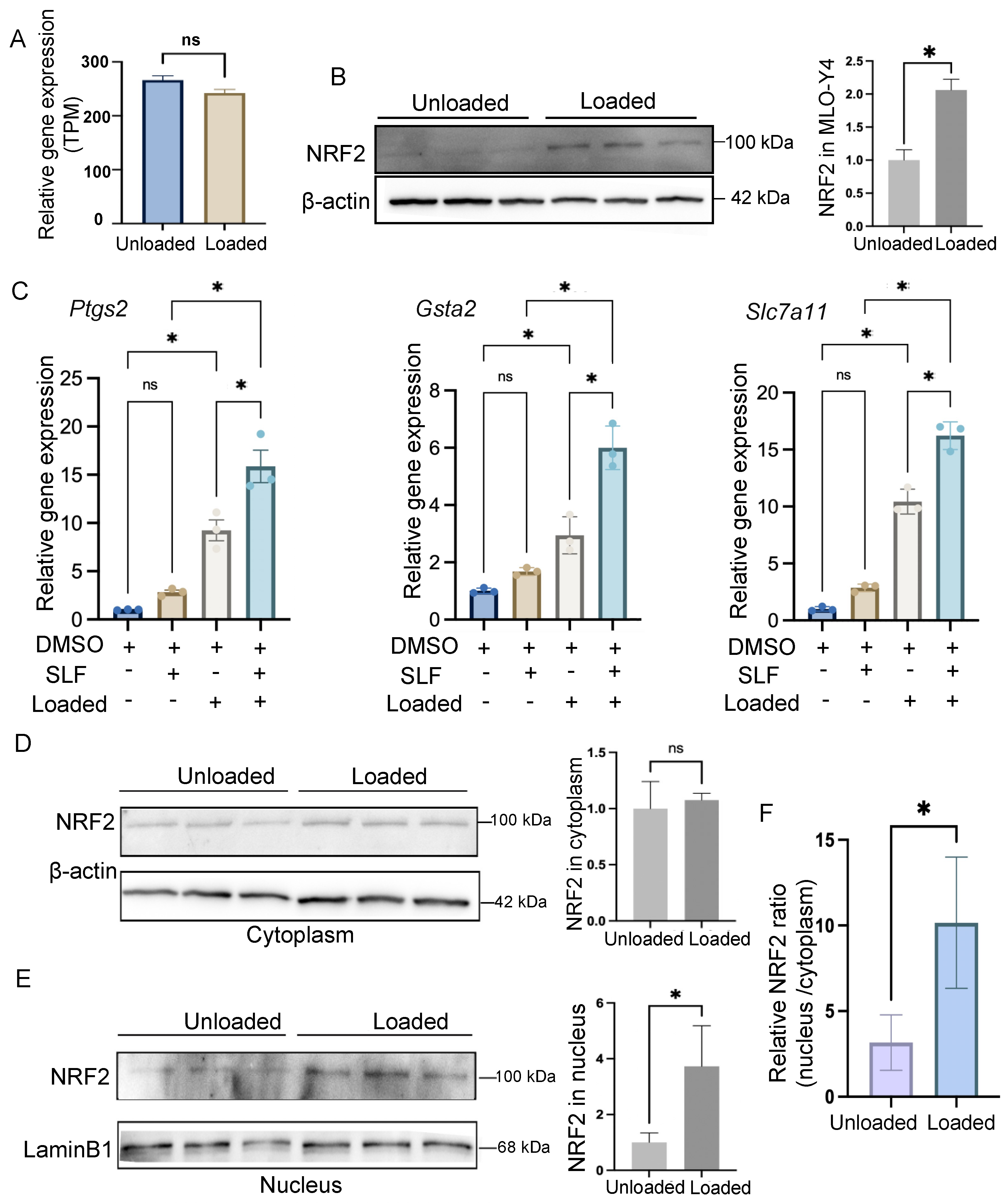 Antioxidants 14 00346 g003