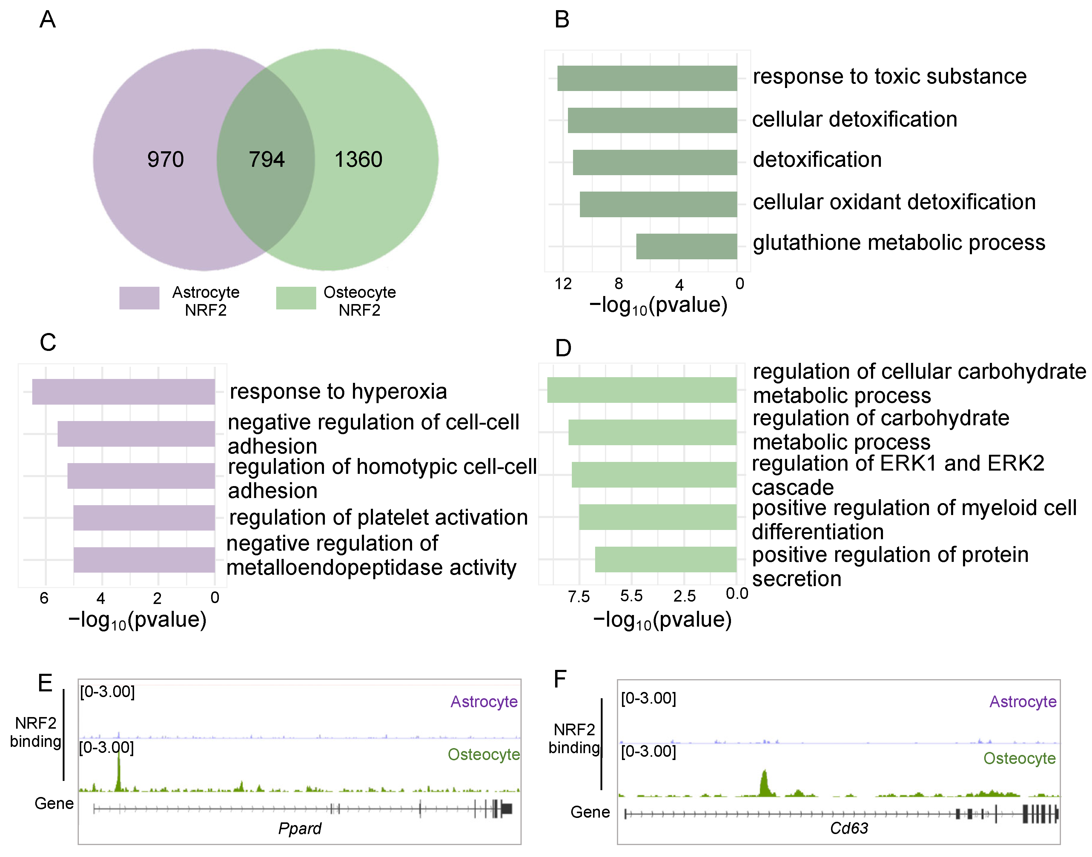 Antioxidants 14 00346 g005