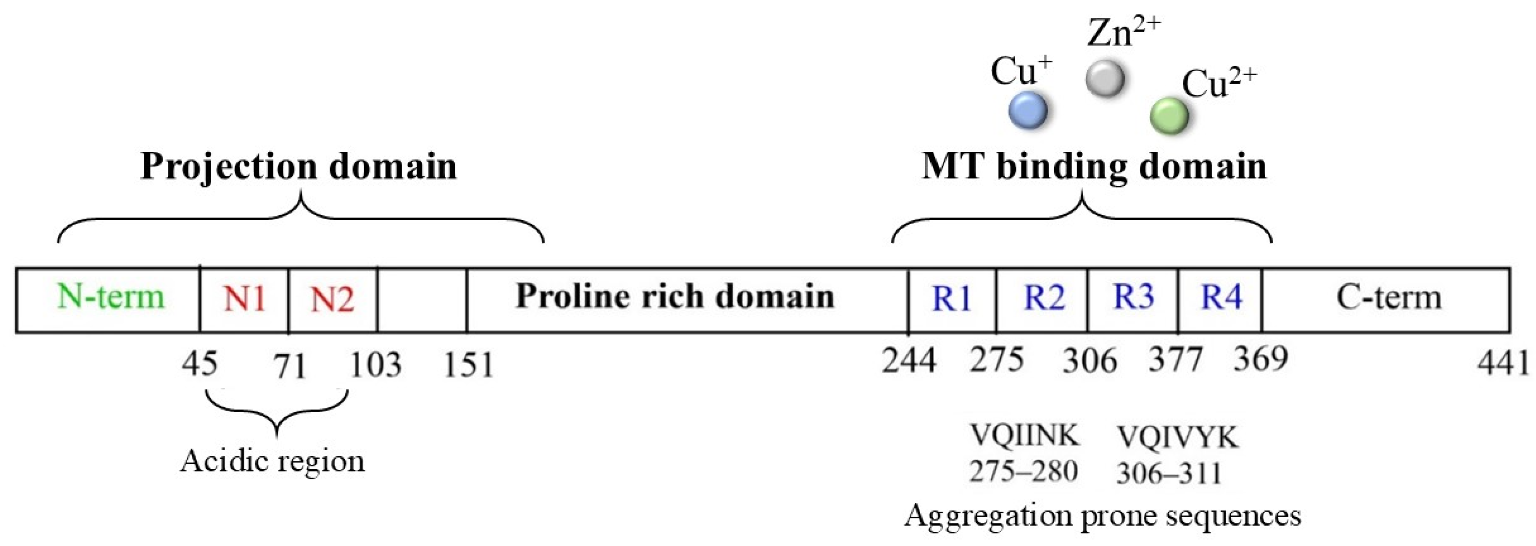 Antioxidants 14 00347 g005 Antioxidants 14 00347 g005