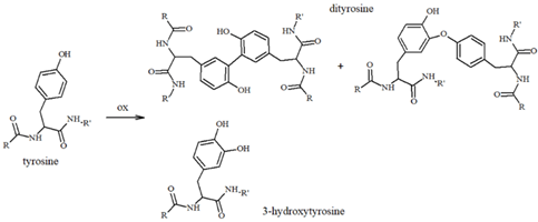 Antioxidants 14 00347 i005 Antioxidants 14 00347 i005