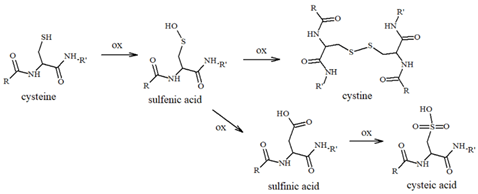 Antioxidants 14 00347 i007 Antioxidants 14 00347 i007