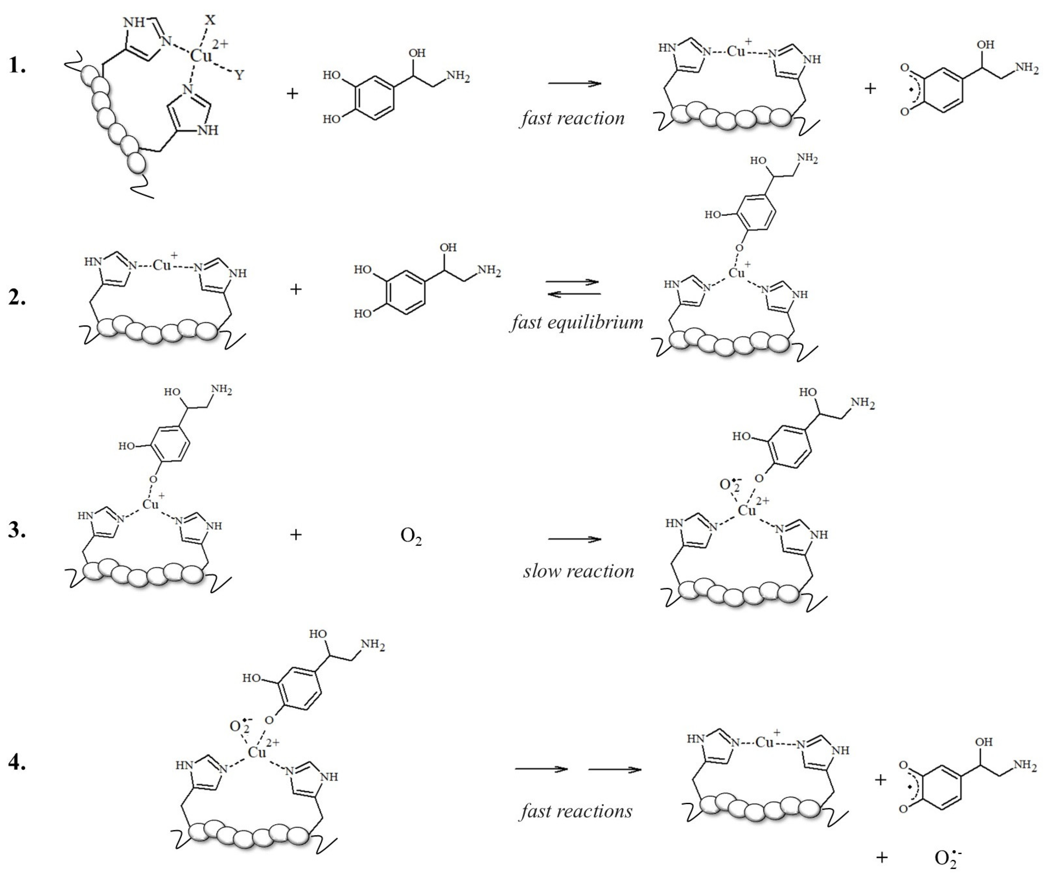 Antioxidants 14 00347 sch001 Antioxidants 14 00347 sch001