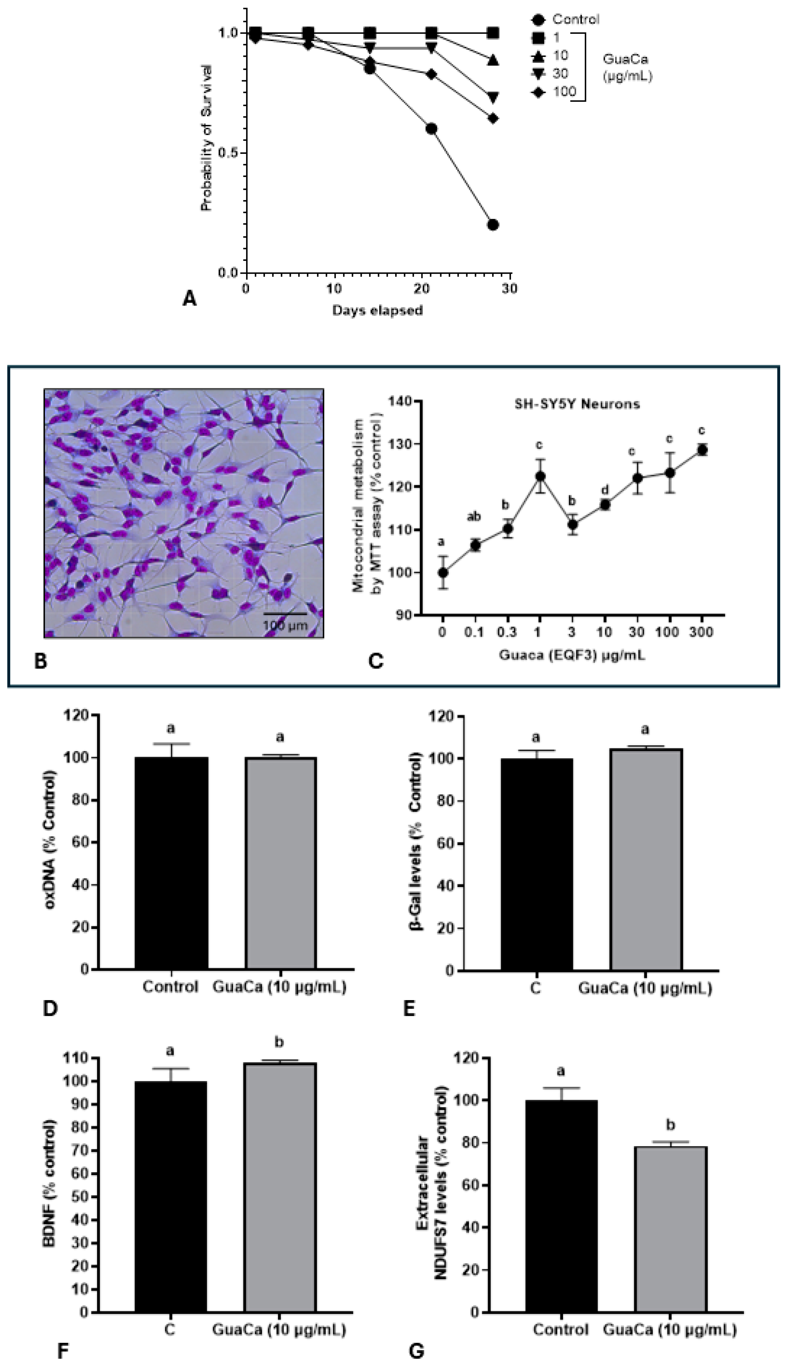 Antioxidants 14 00348 g004