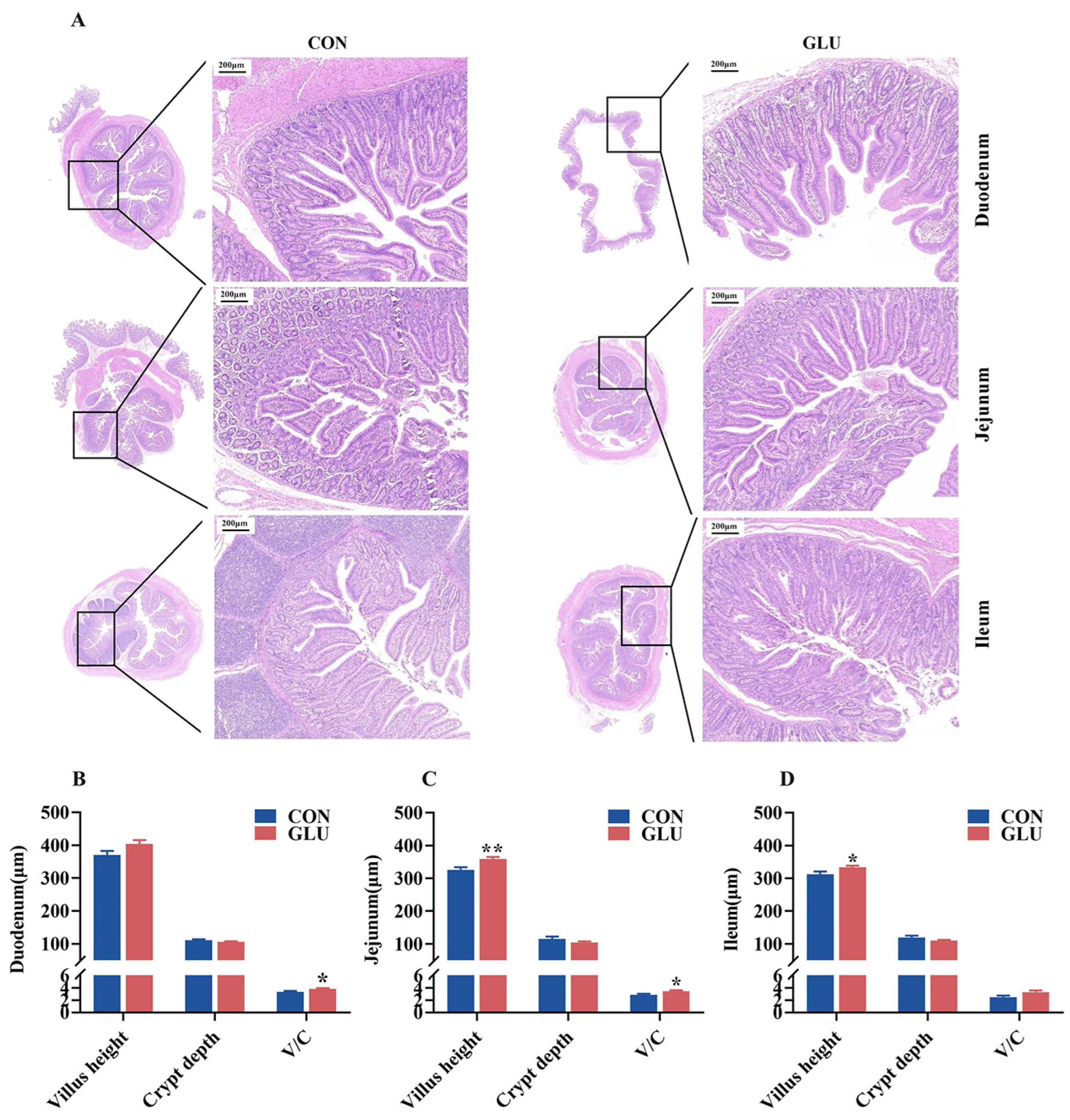 Antioxidants 14 00352 g004