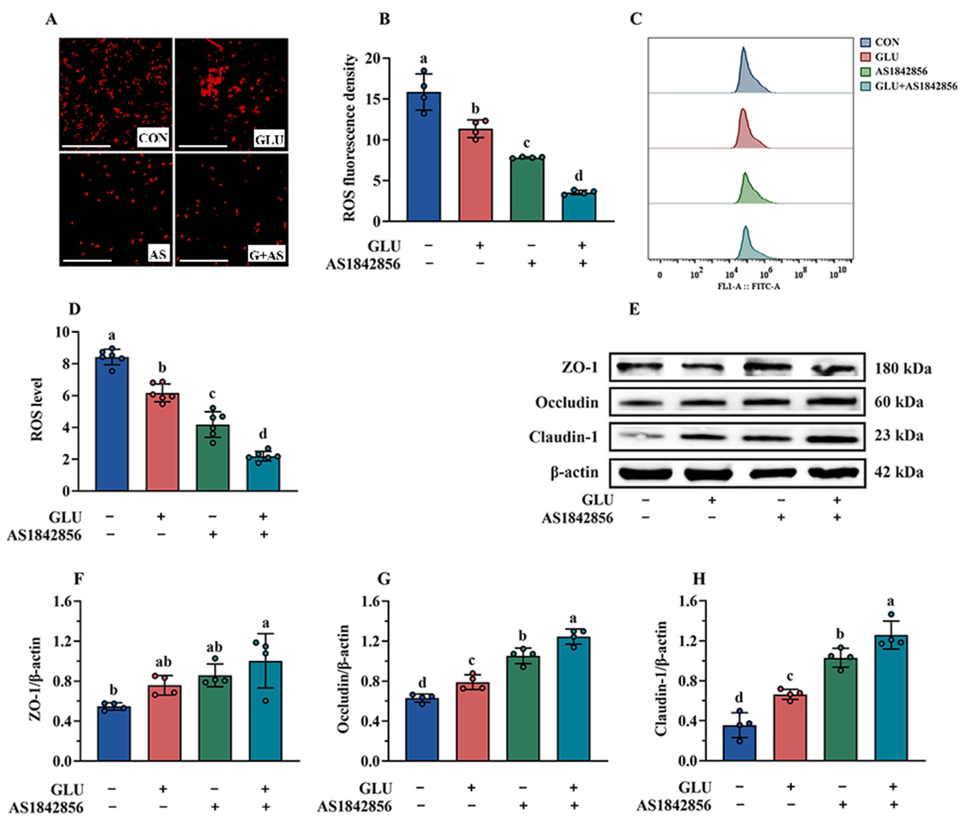 Antioxidants 14 00352 g014