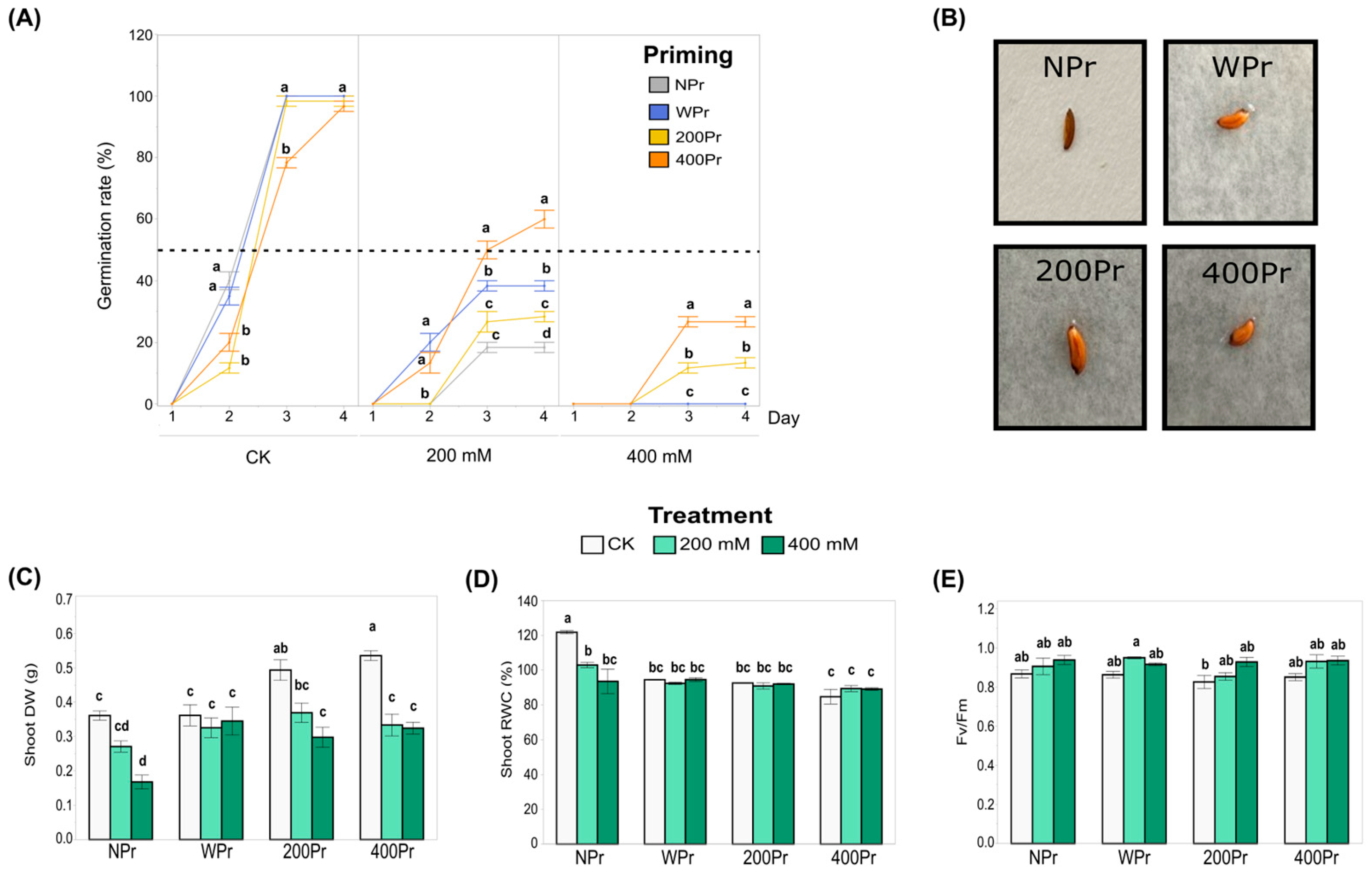 Antioxidants 14 00353 g002