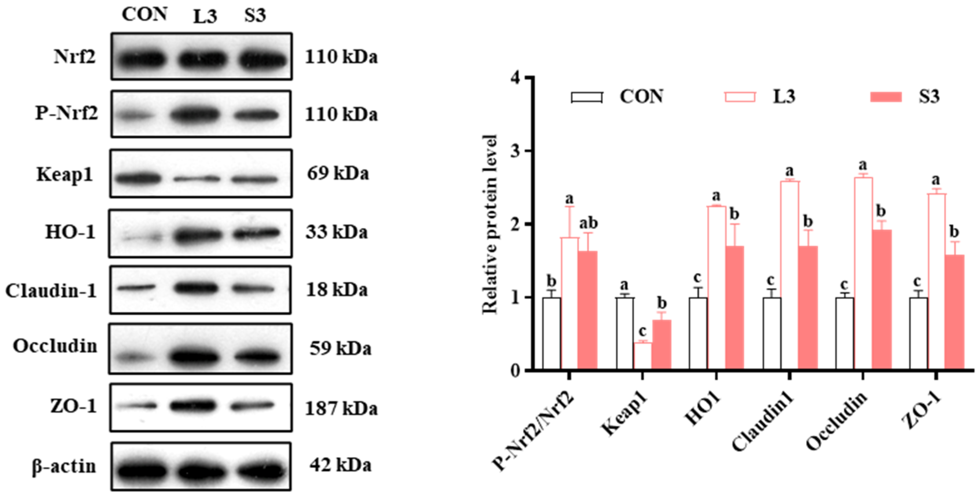 Antioxidants 14 00359 g003