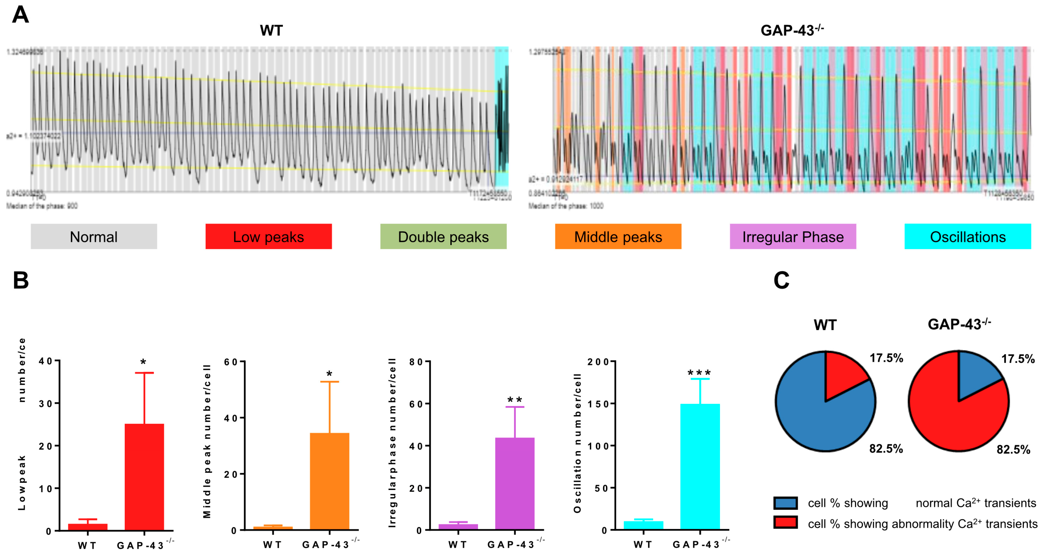 Antioxidants 14 00361 g002