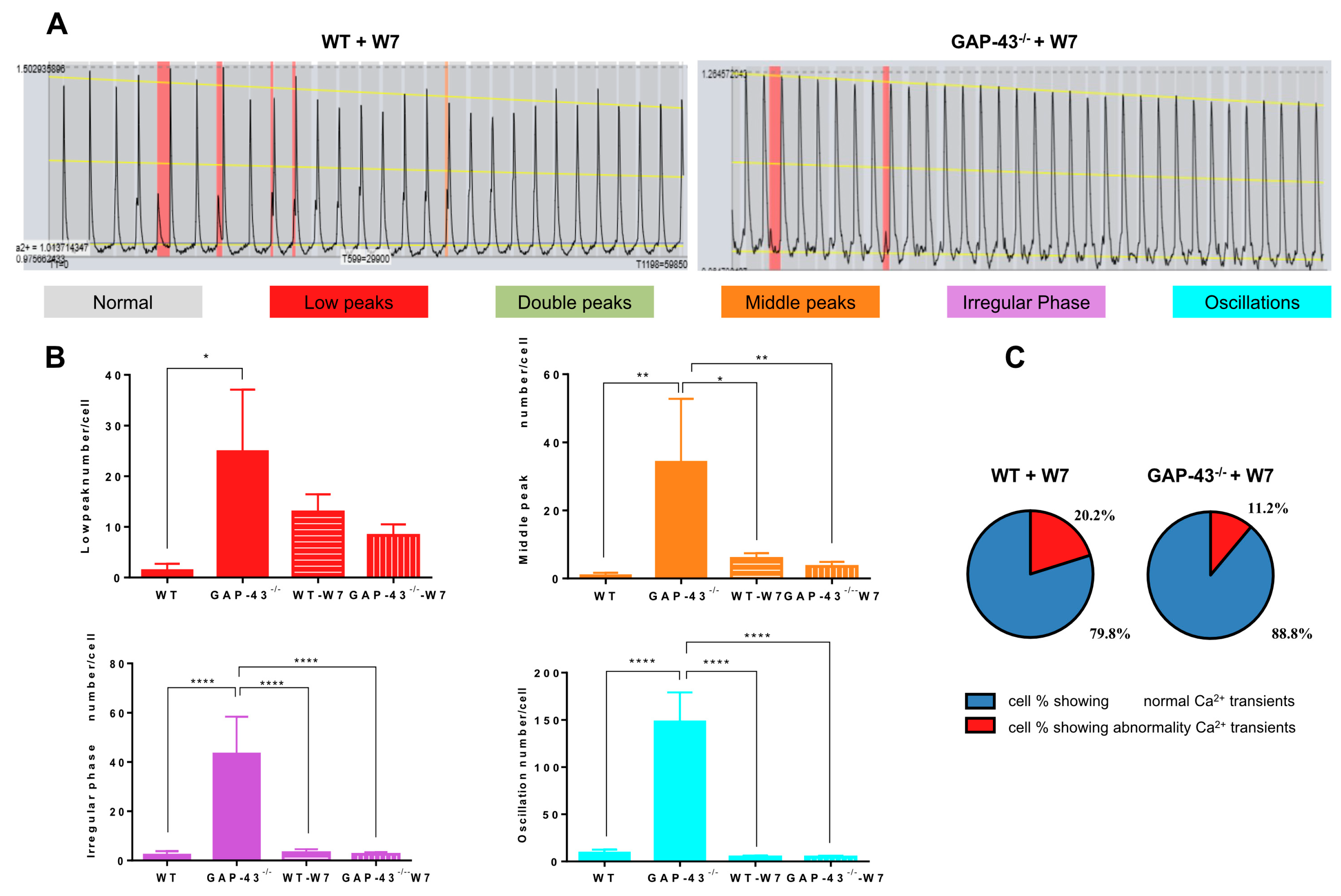 Antioxidants 14 00361 g003