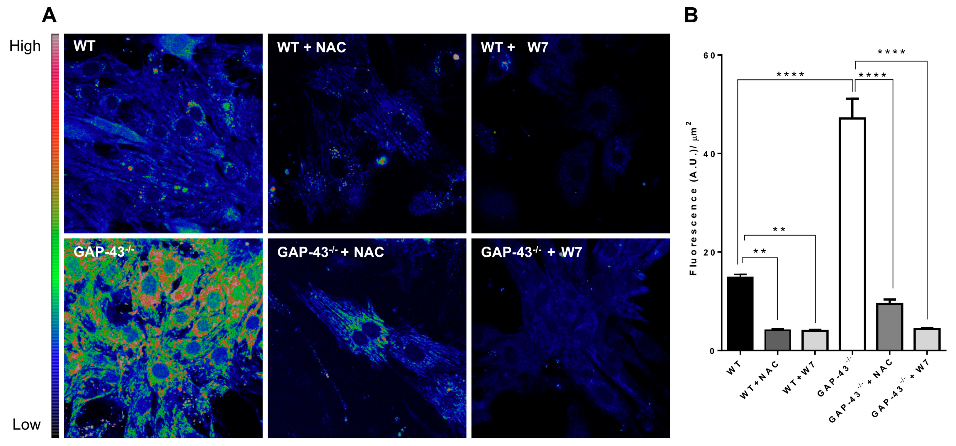 Antioxidants 14 00361 g006