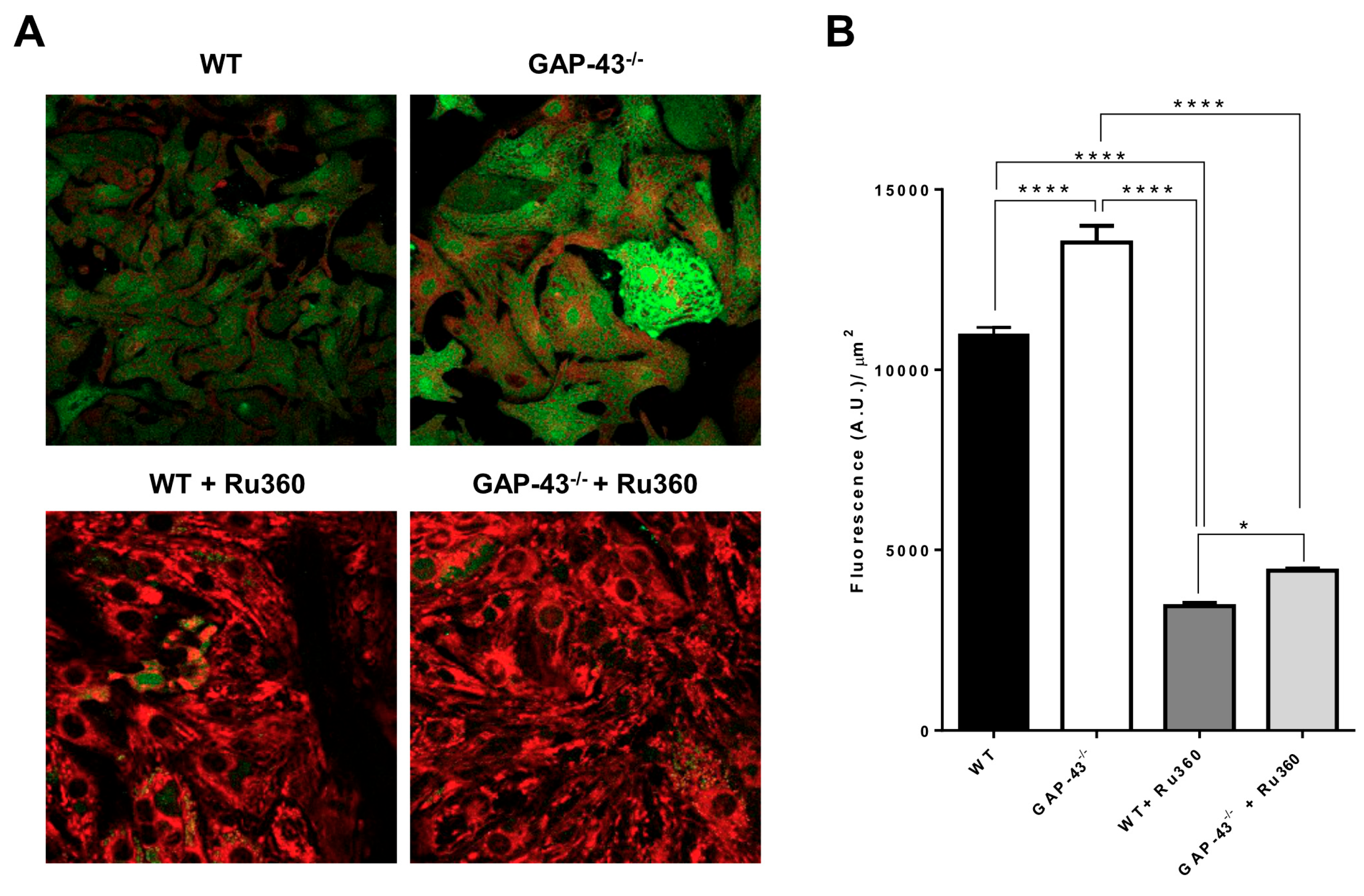 Antioxidants 14 00361 g008