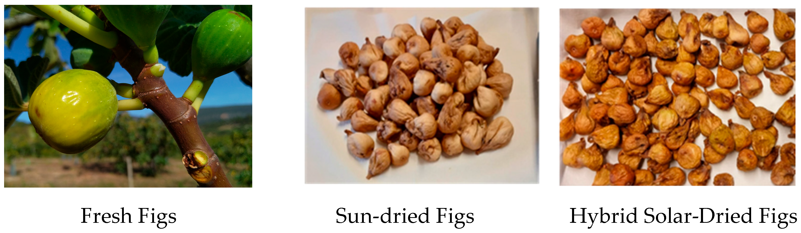 Antioxidants 14 00362 g001