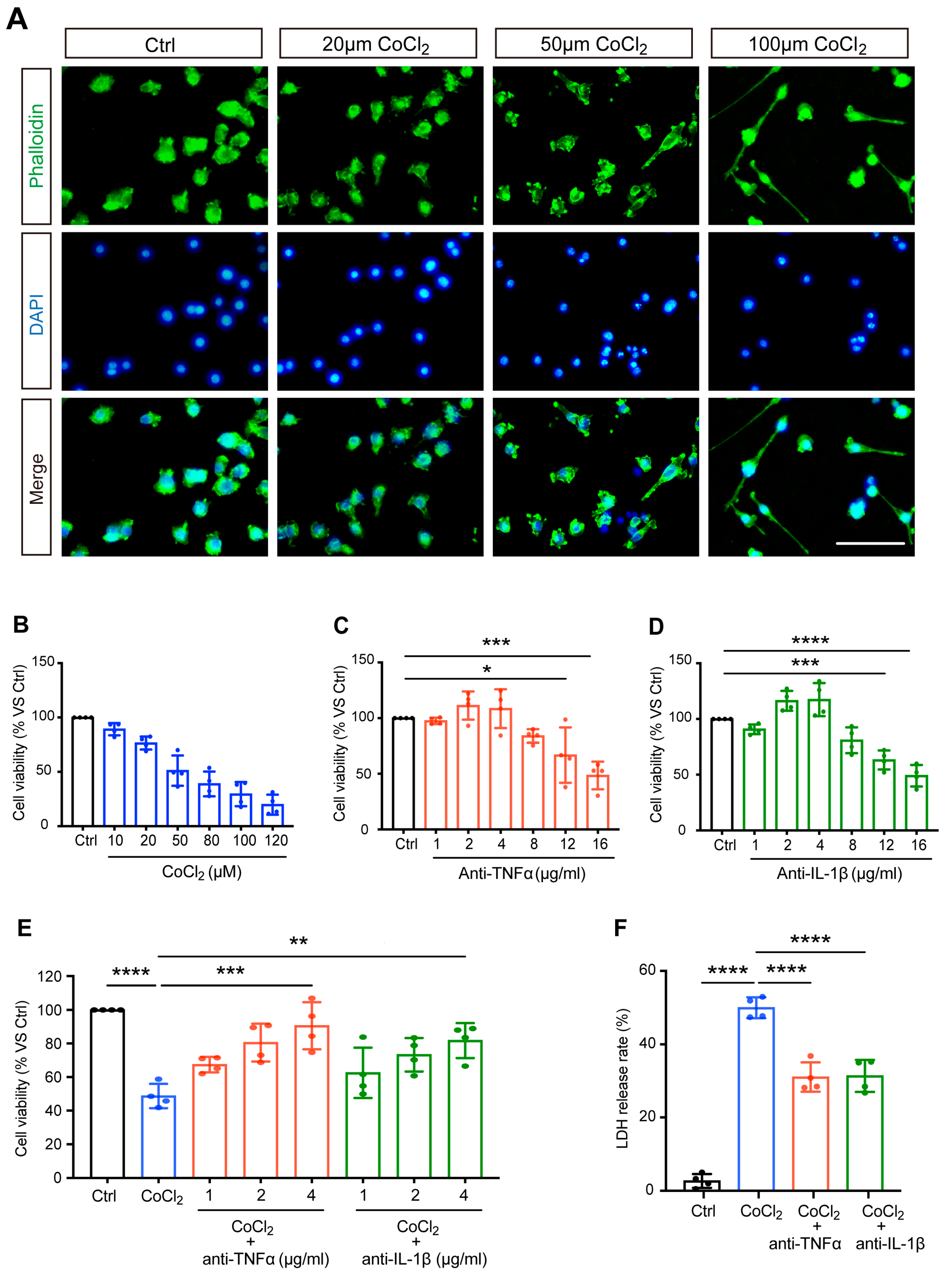 Antioxidants 14 00363 g001