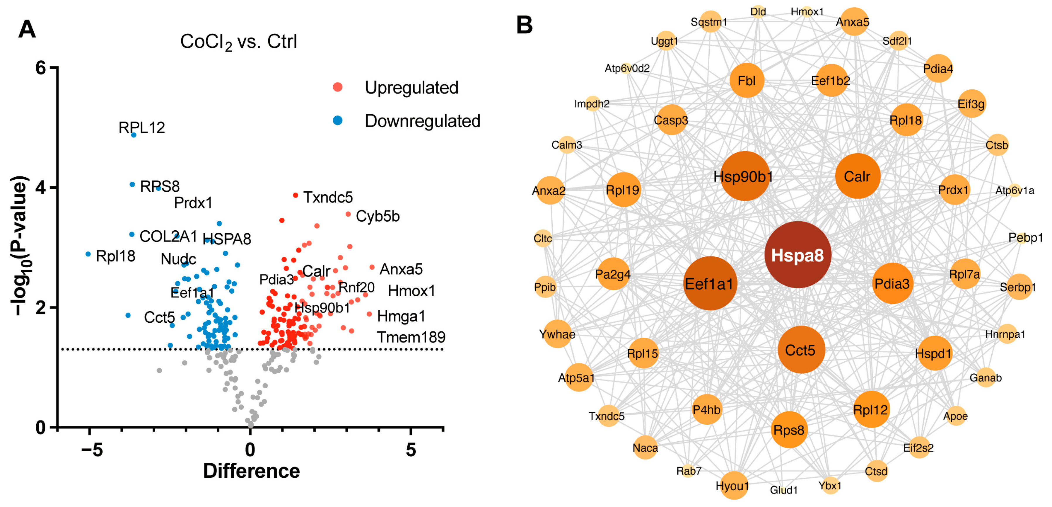 Antioxidants 14 00363 g006a