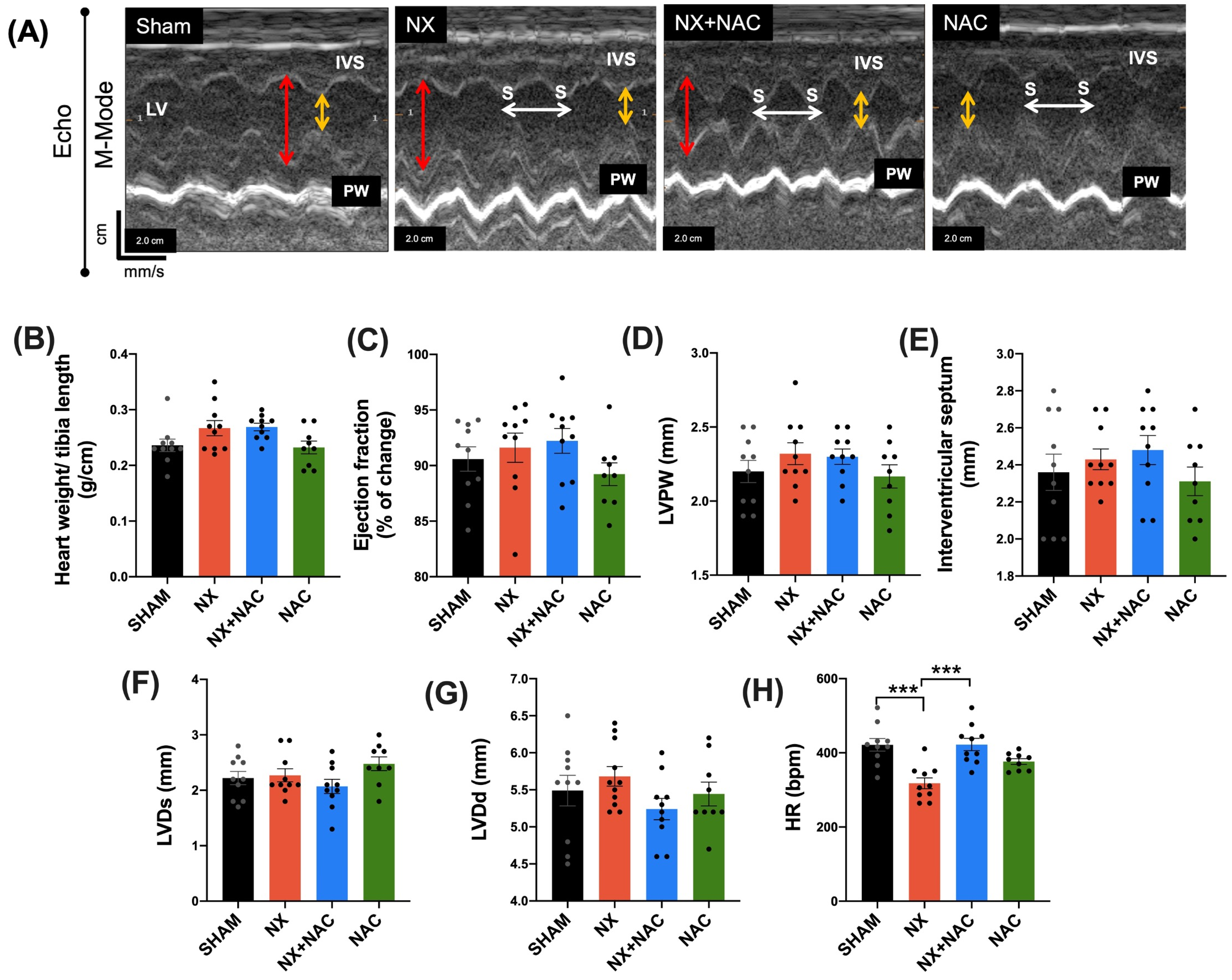 Antioxidants 14 00367 g003