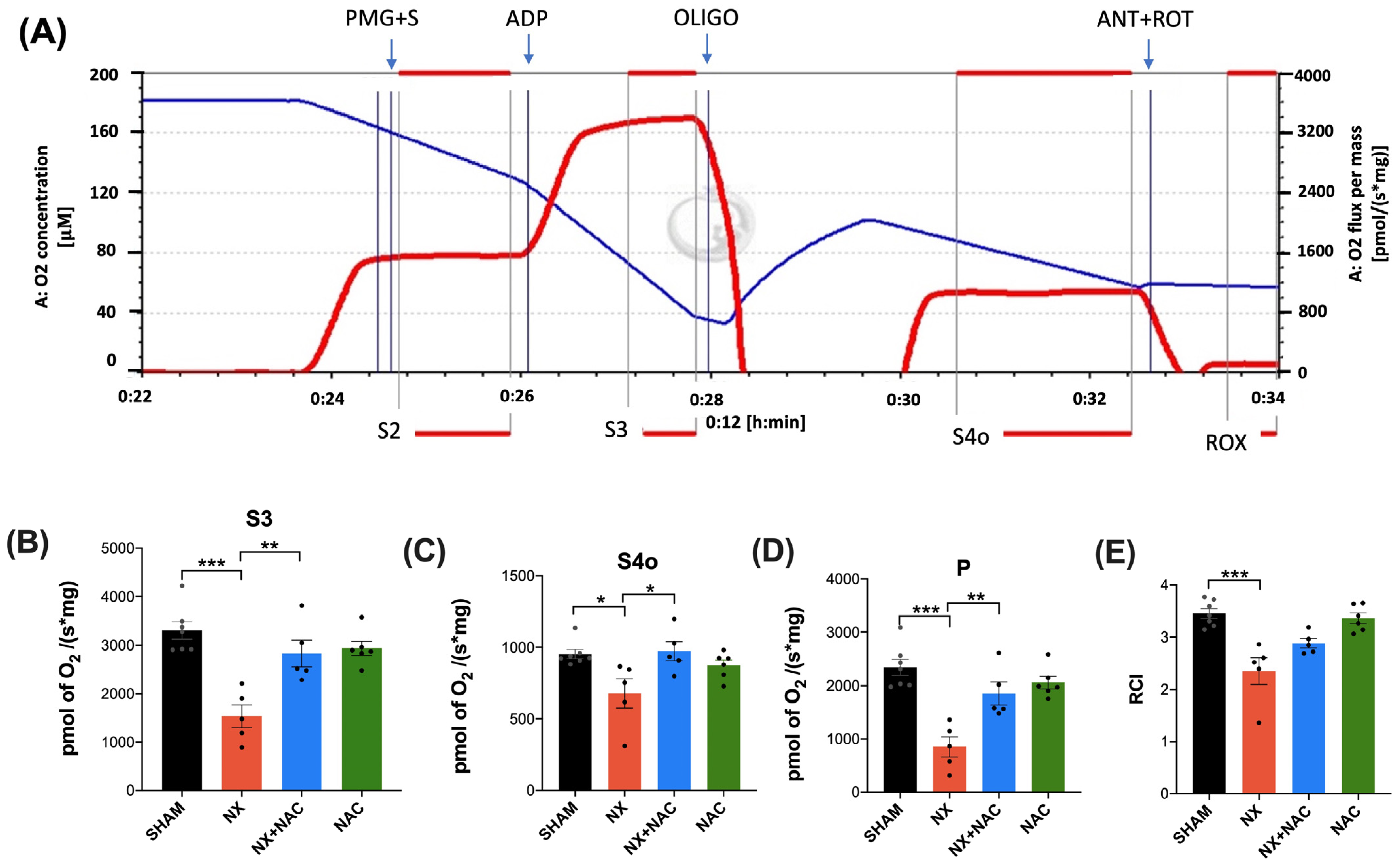 Antioxidants 14 00367 g005