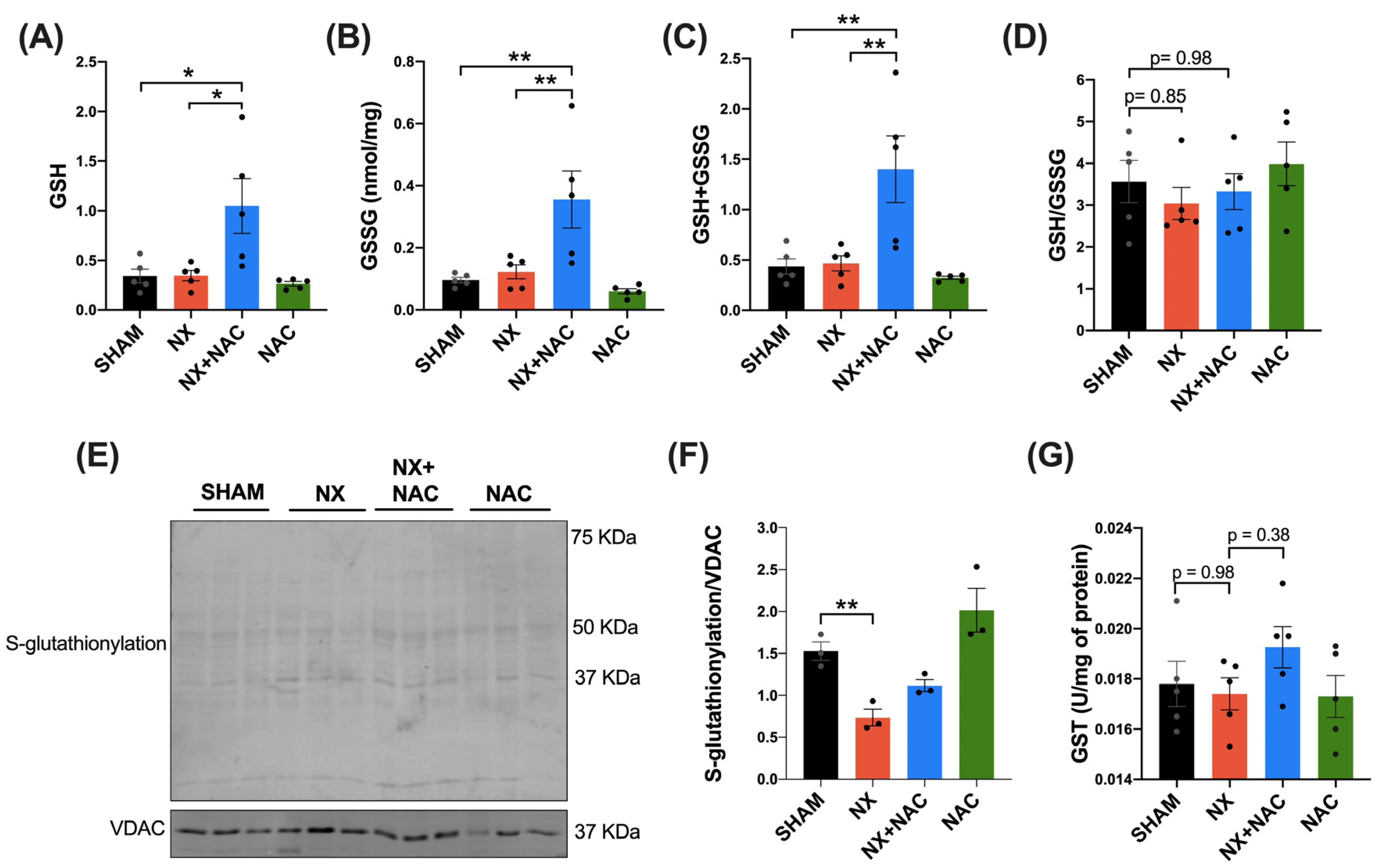 Antioxidants 14 00367 g009