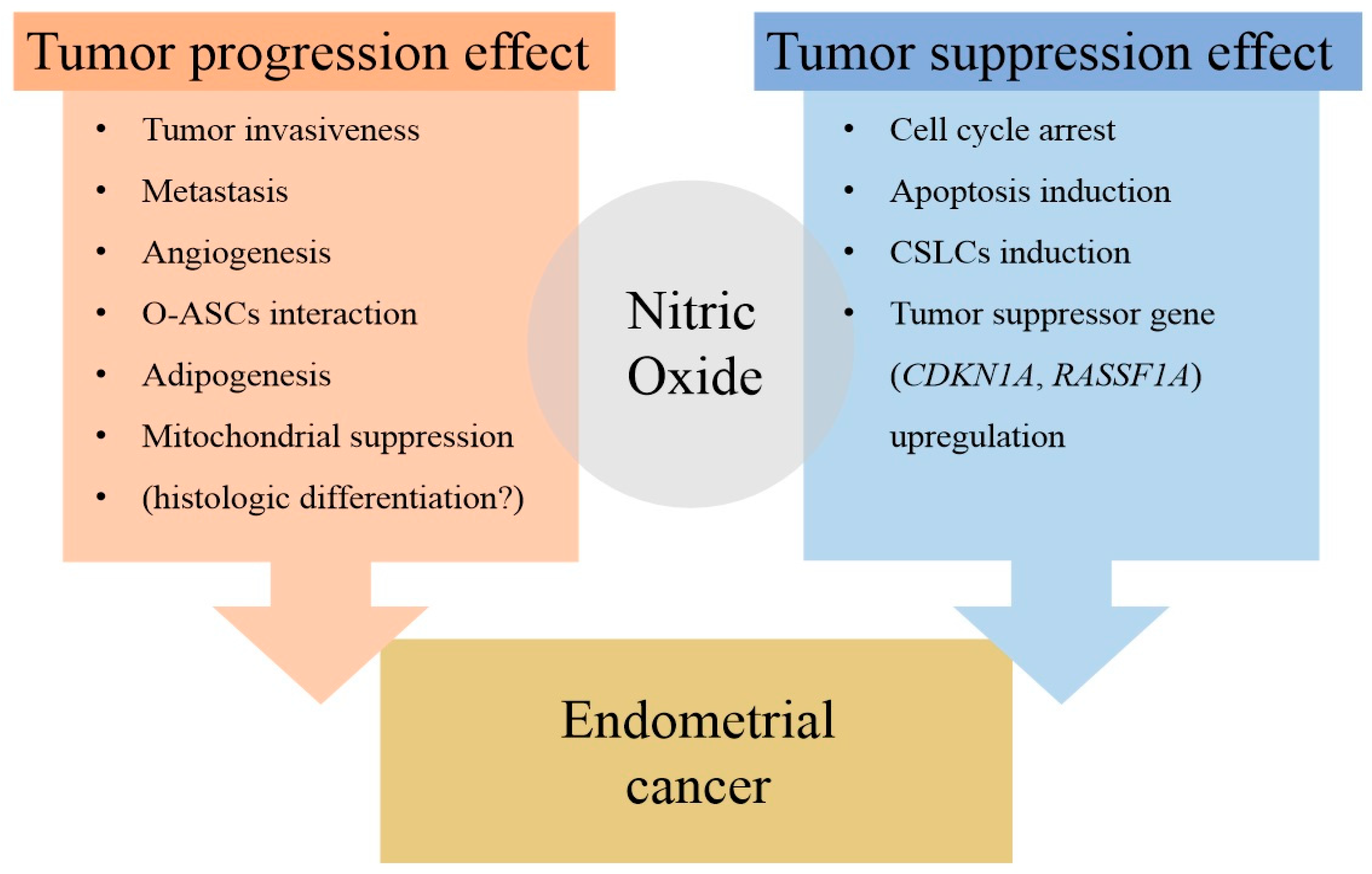 Antioxidants 14 00369 g004