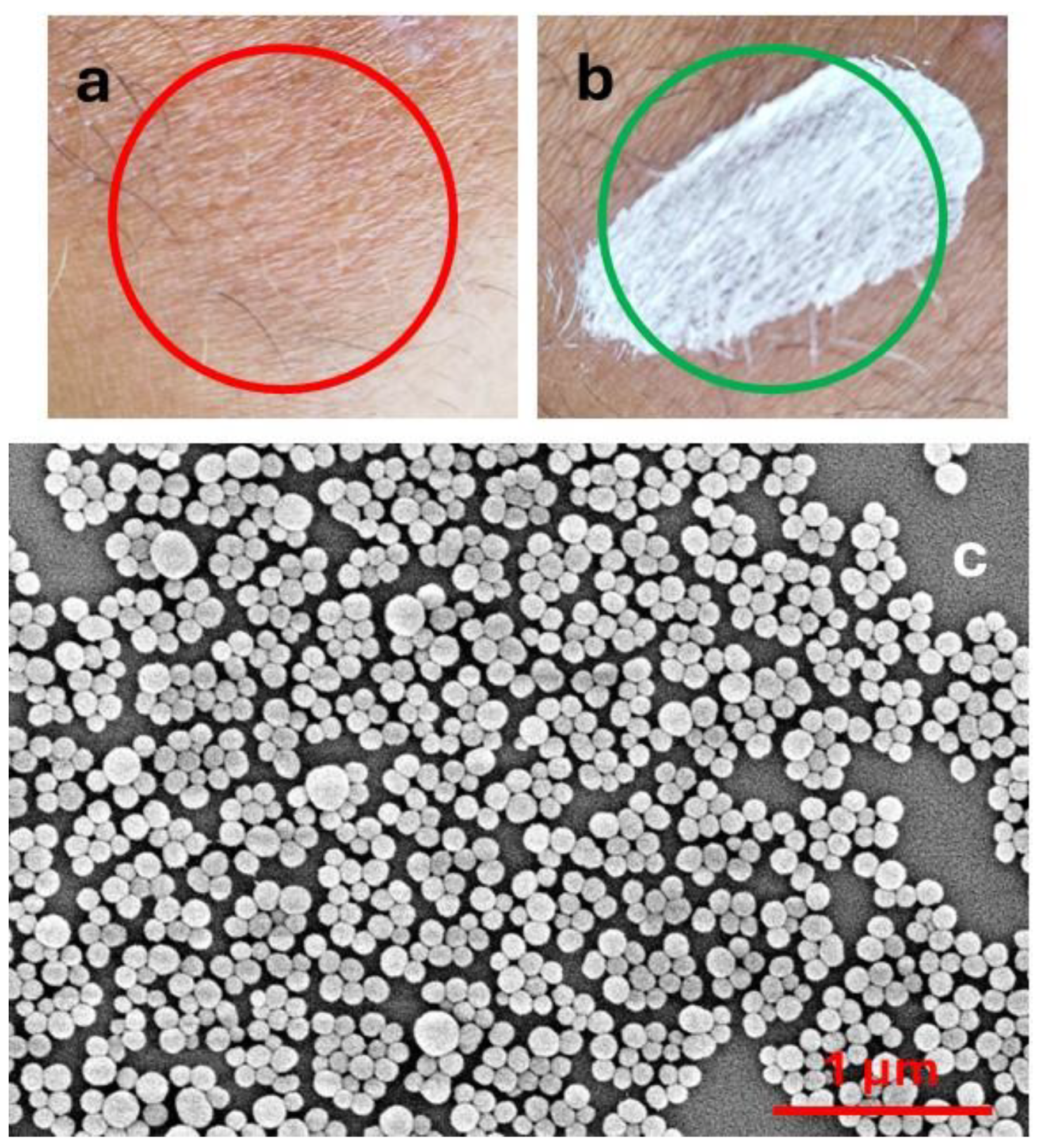 Antioxidants 14 00376 g001