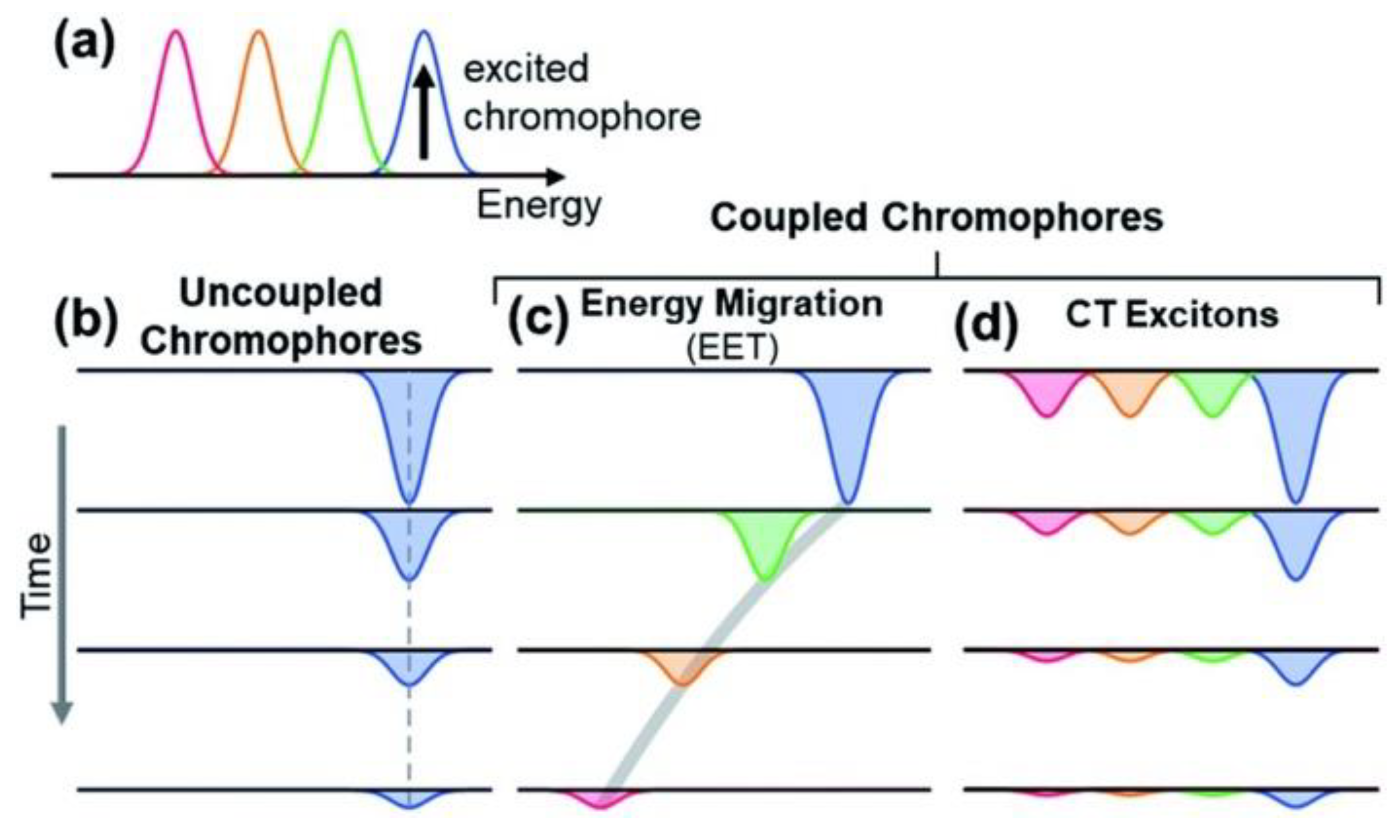 Antioxidants 14 00376 g004