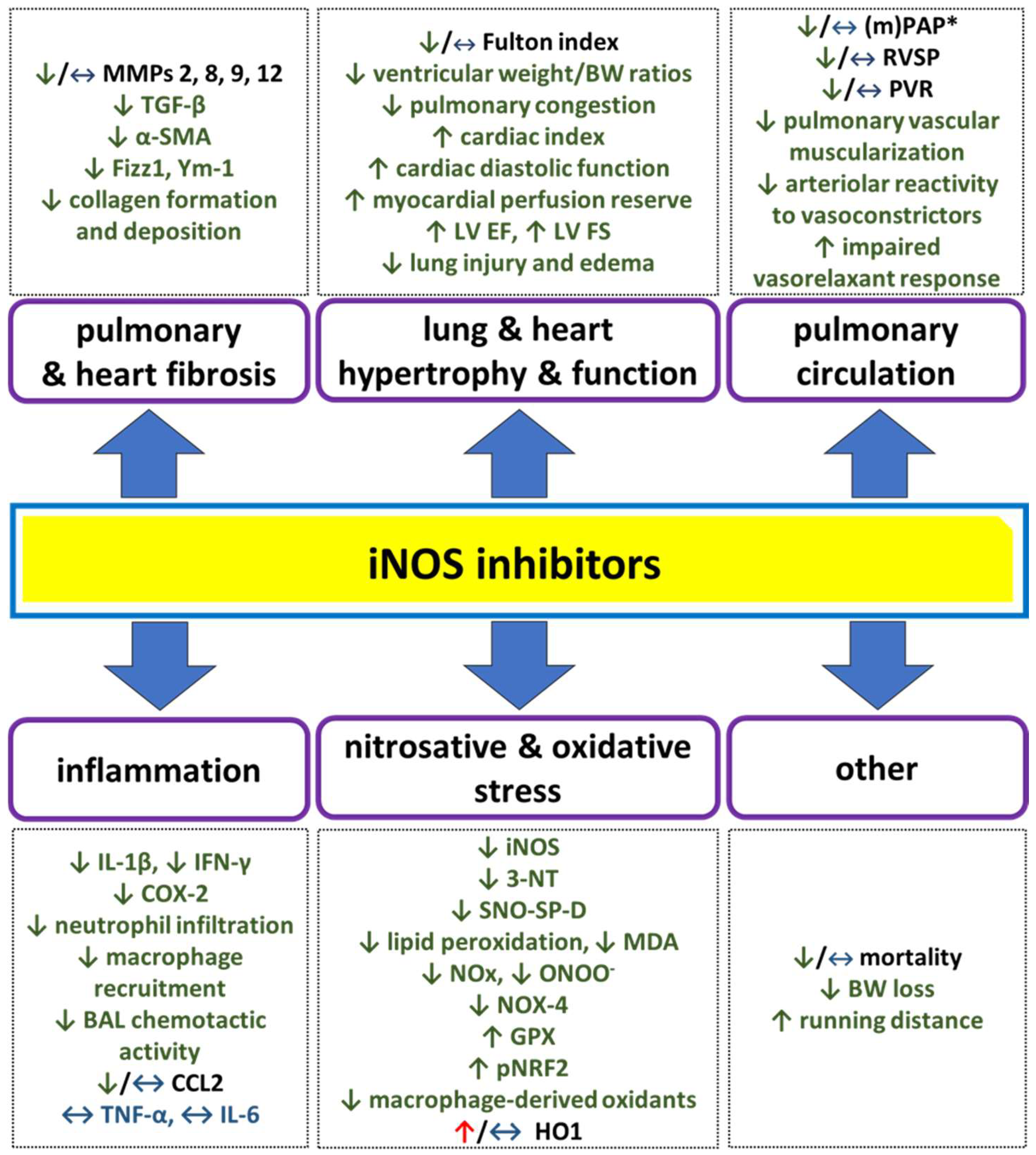 Antioxidants 14 00377 g002 Antioxidants 14 00377 g002