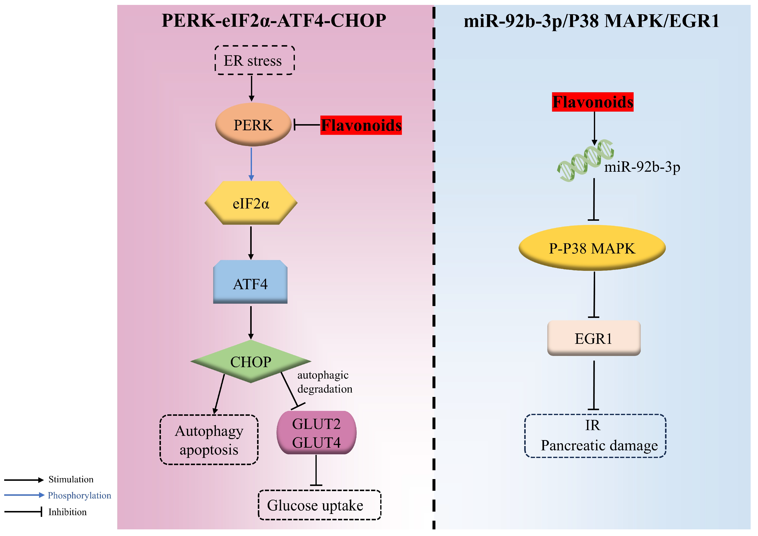 Antioxidants 14 00378 g004