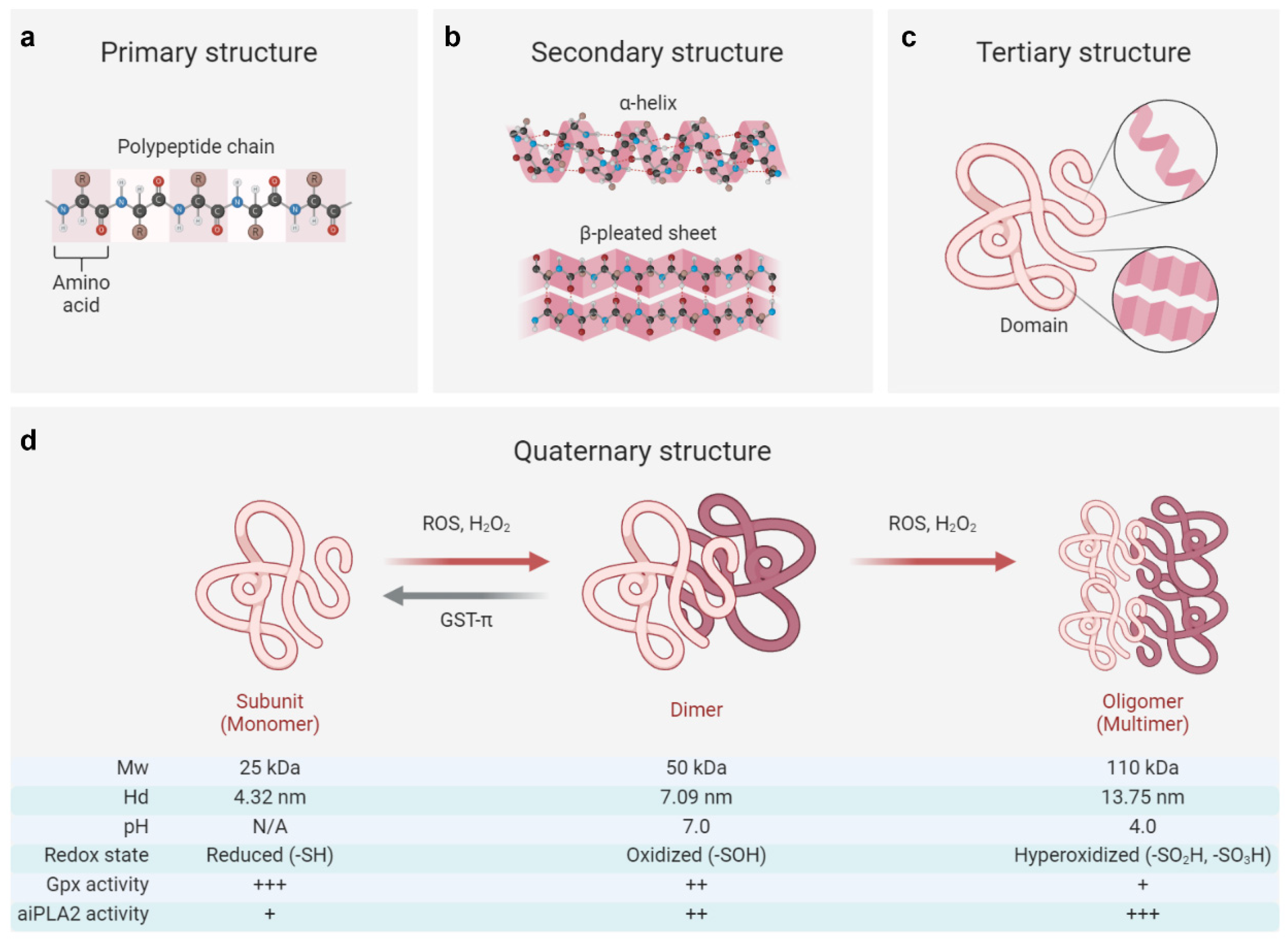 Antioxidants 14 00379 g001 Antioxidants 14 00379 g001