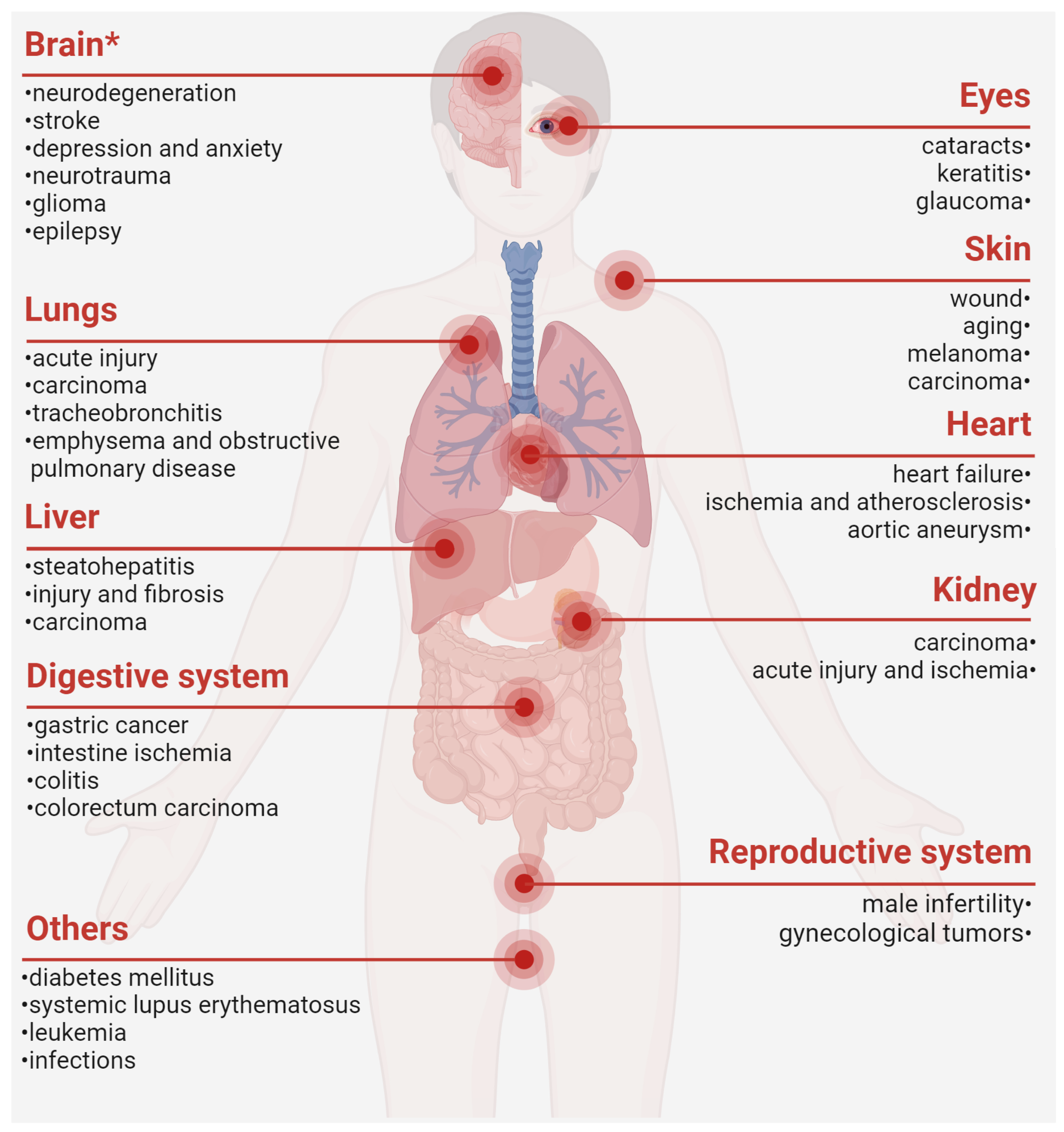 Antioxidants 14 00379 g002 Antioxidants 14 00379 g002