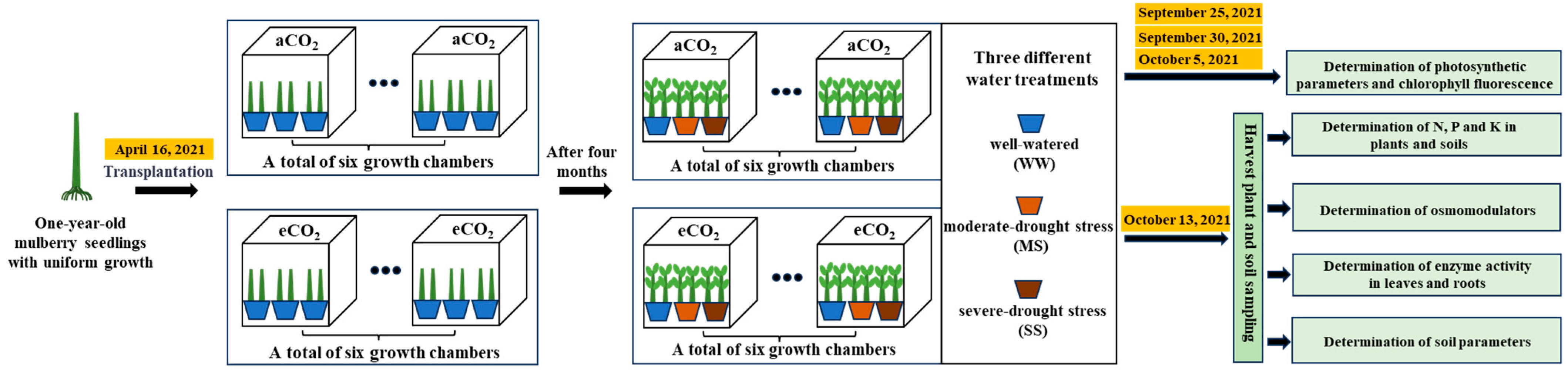 Antioxidants 14 00383 g001